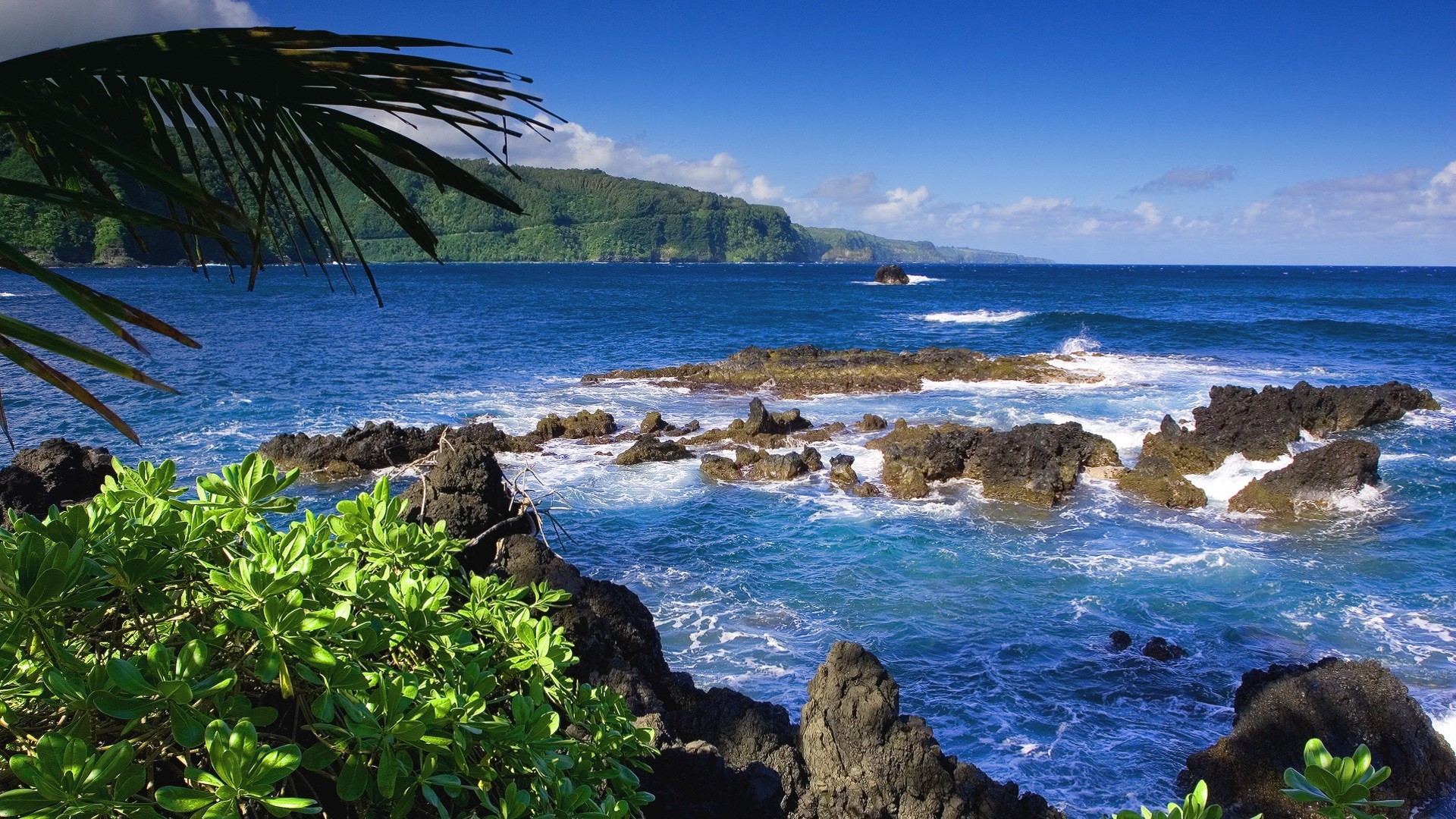 Hawaii coast with rocky shore and green vegetation HD Wallpaper