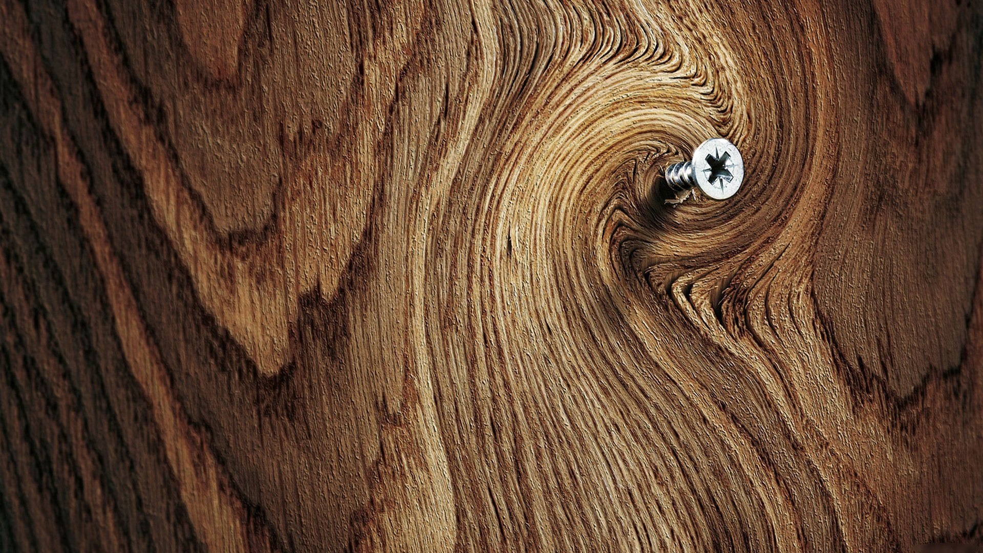 Close-up of a screw in swirling wood grain HD Wallpaper