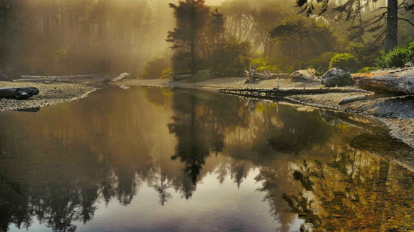 Misty forest river with reflections HD Wallpaper