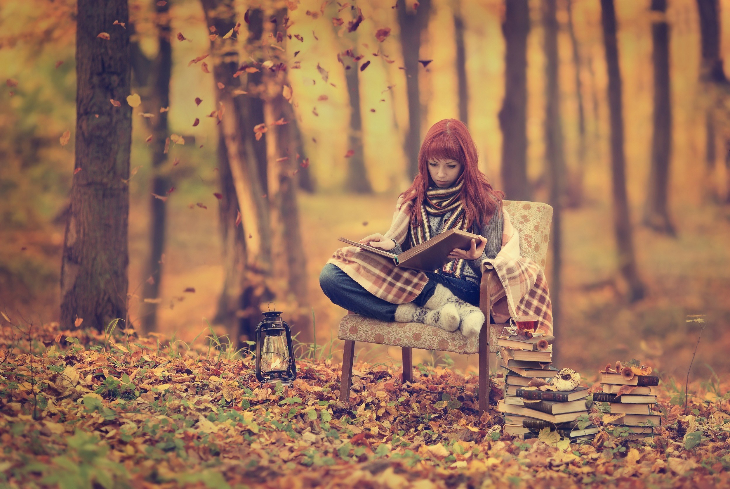 Woman reading in a fall forest with a lantern HD Wallpaper
