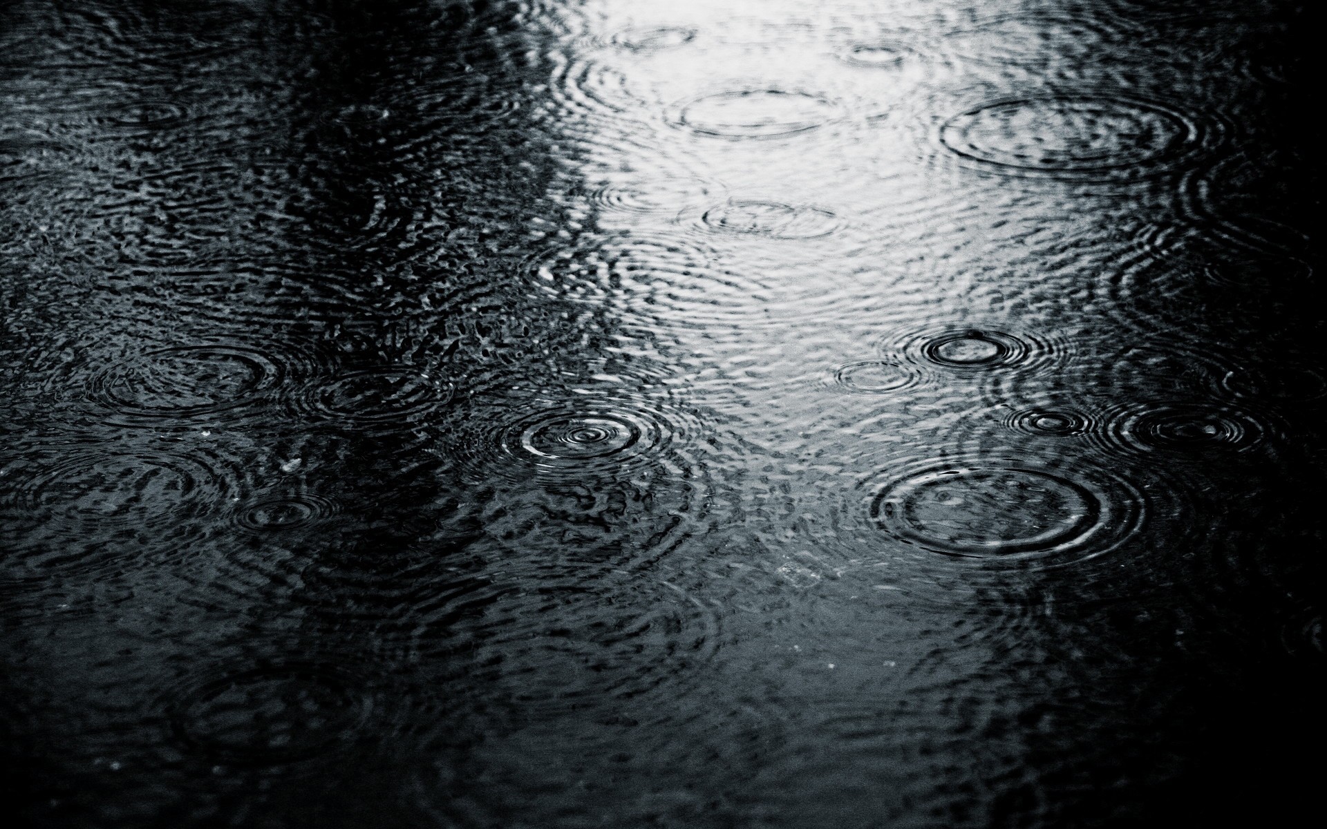 Raindrops creating ripples on a dark water surface HD Wallpaper