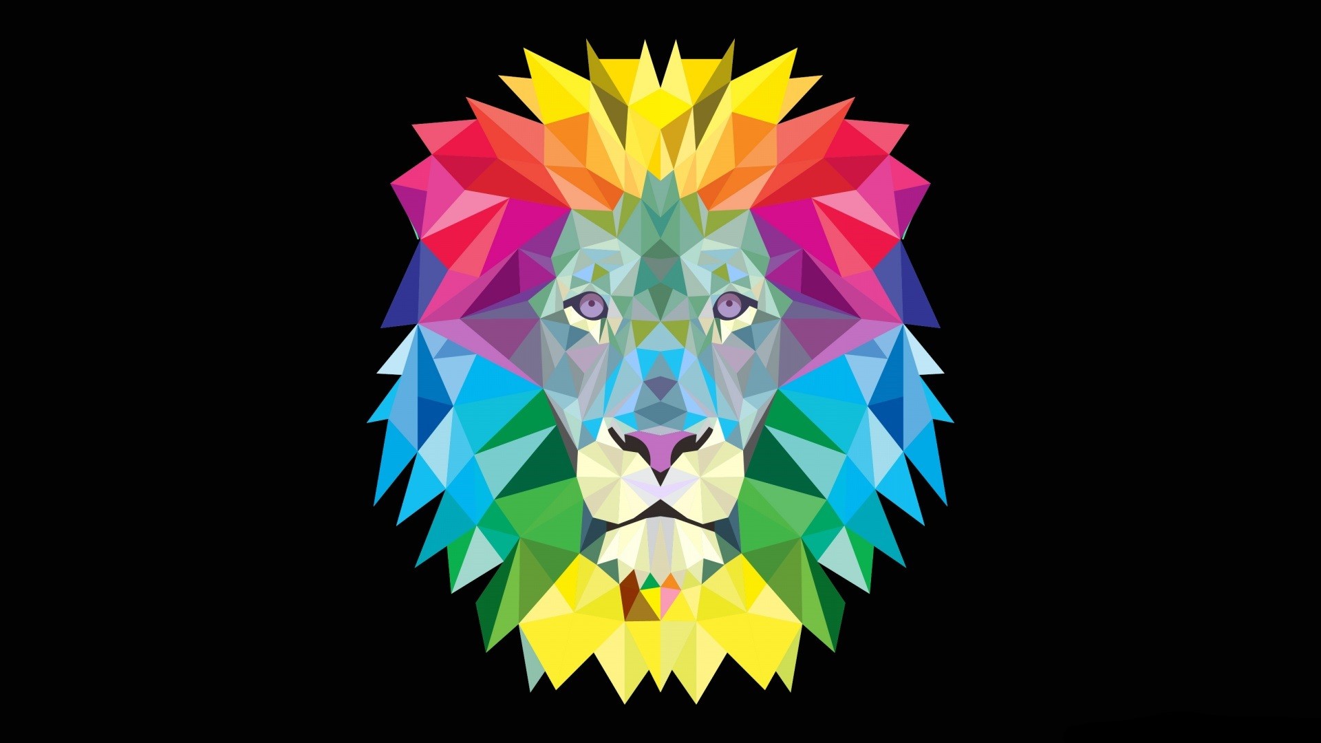 Geometric Rainbow Lion Head HD Wallpaper