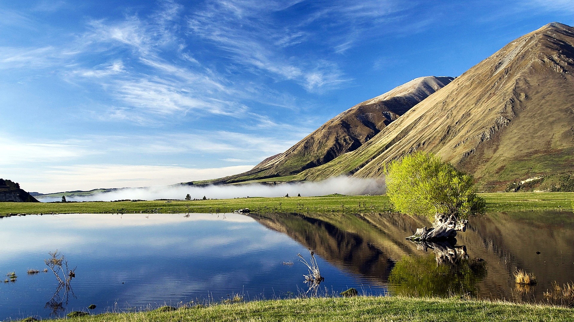Lake and mountains with mist and a lone tree HD Wallpaper
