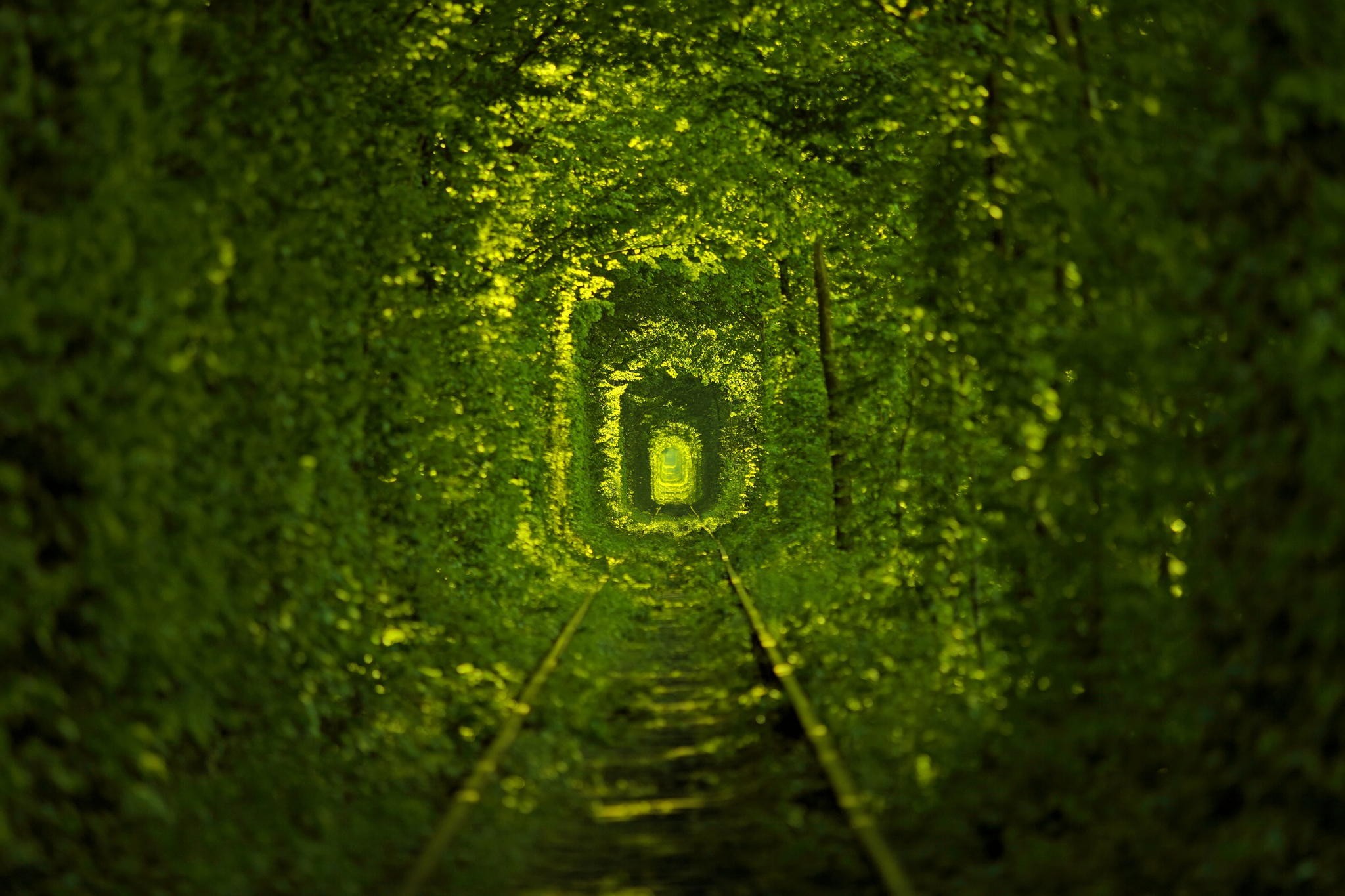 Tunnel of Love in Ukraine HD Wallpaper