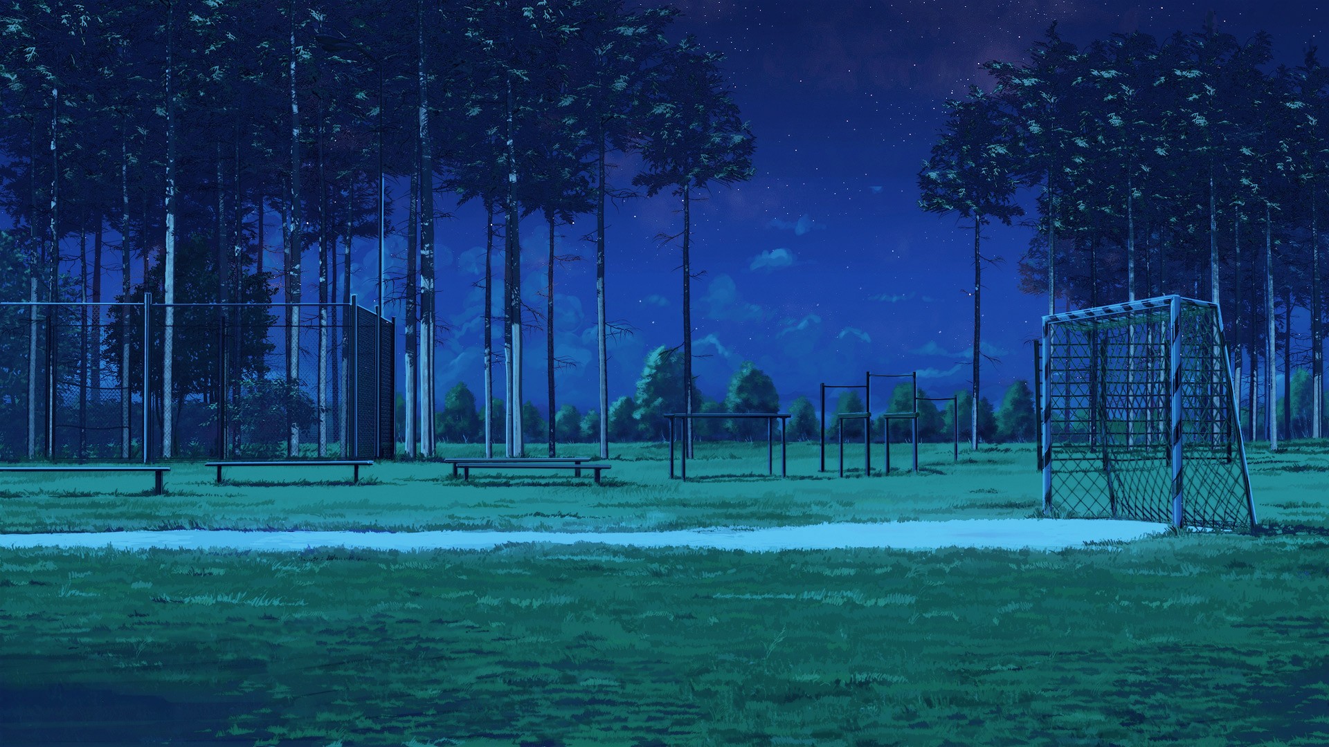 Night scene at Everlasting Summer soccer field with benches HD Wallpaper
