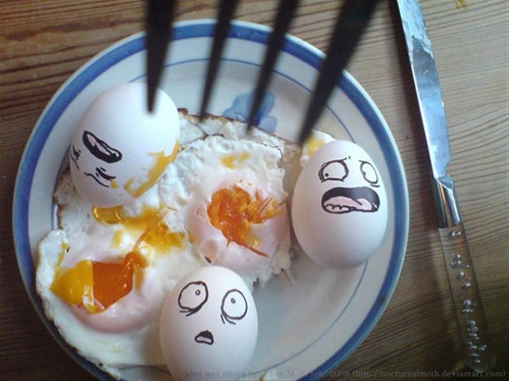 Eggs with faces on a plate of fried eggs HD Wallpaper