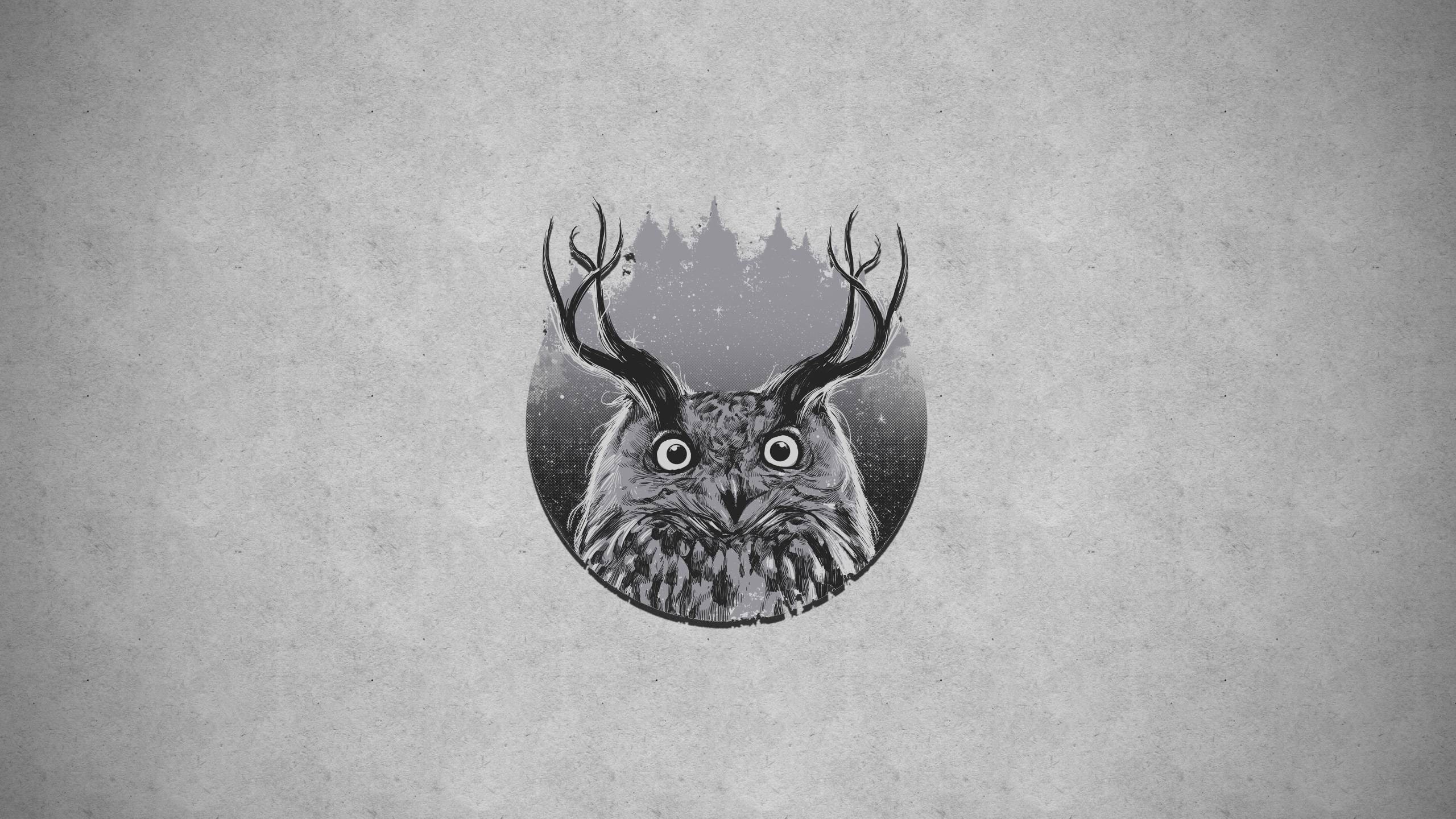 Owl with antlers and forest background HD Wallpaper