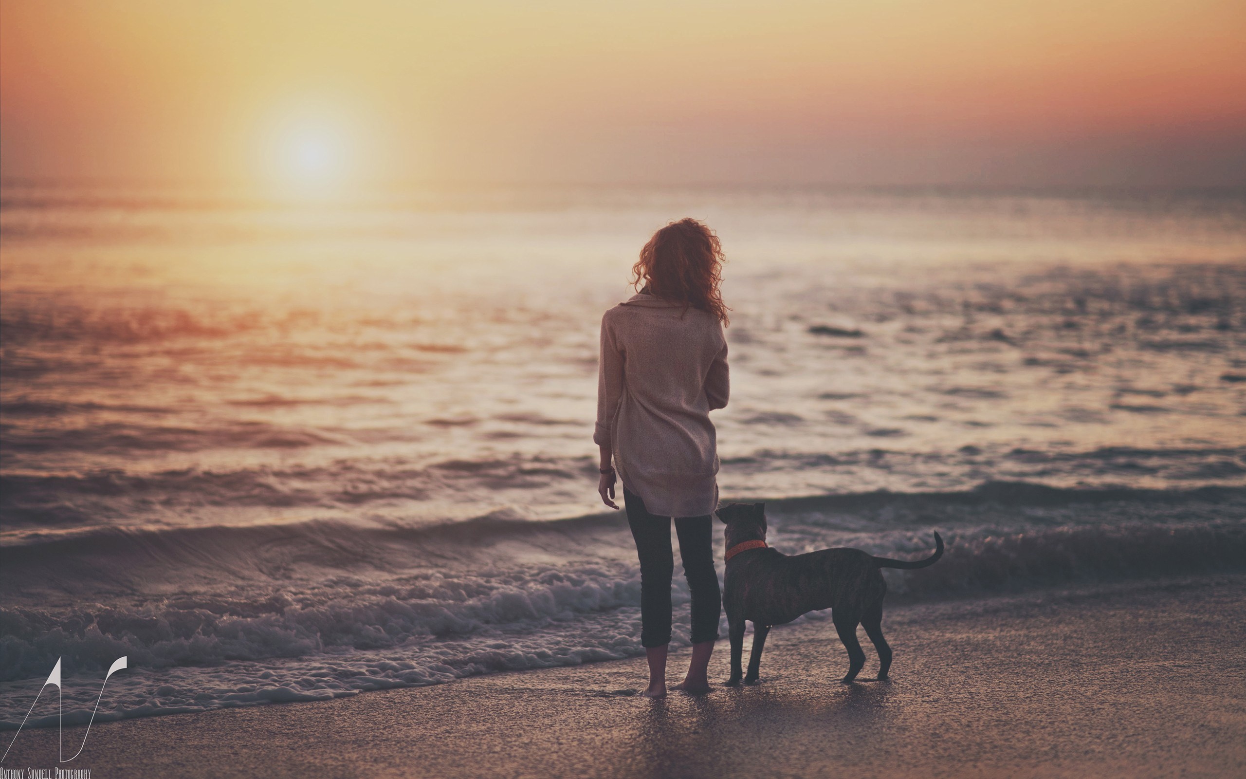 Woman and dog on beach at sunset HD Wallpaper