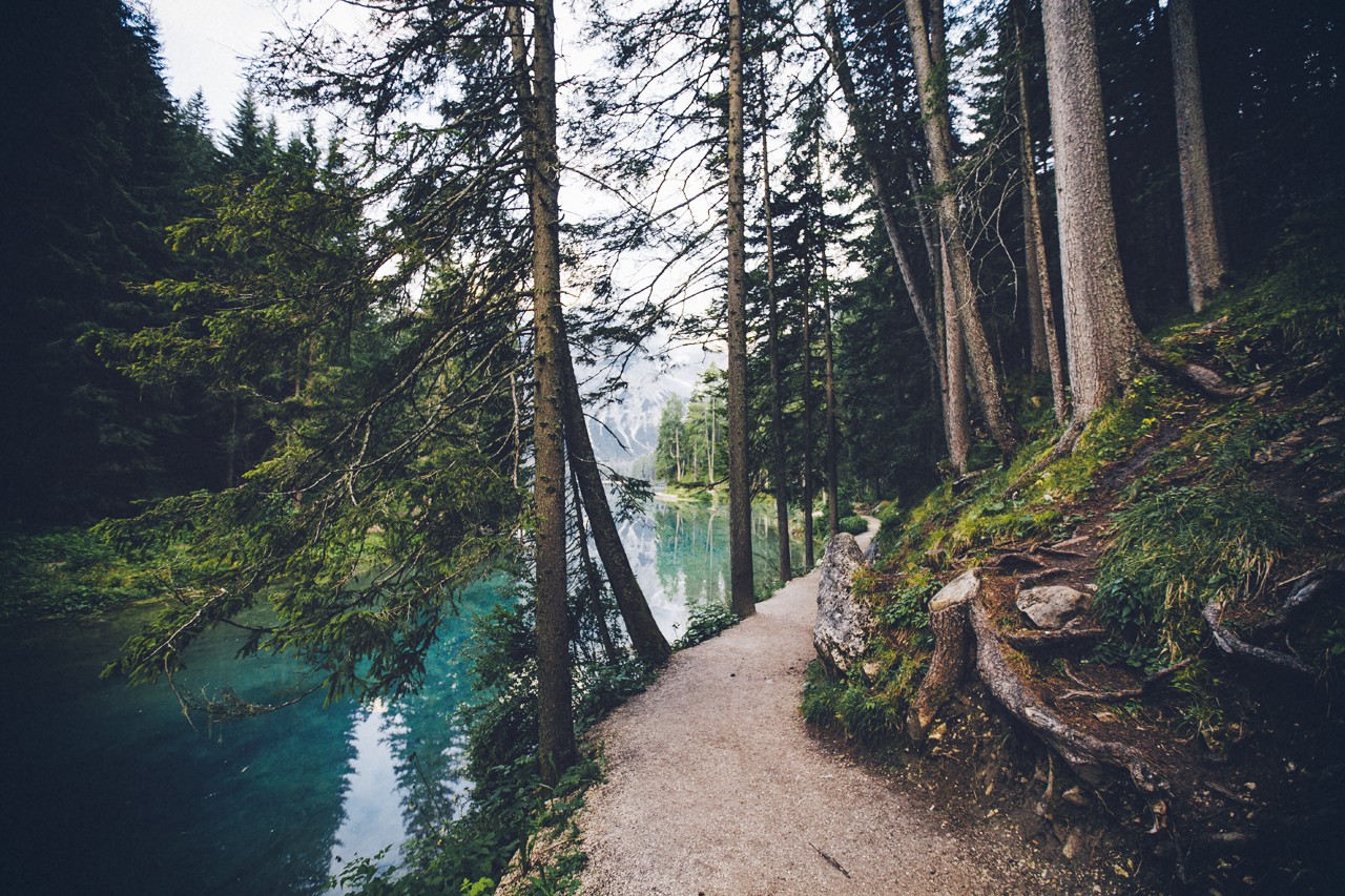 Path along a turquoise lake in a forest HD Wallpaper