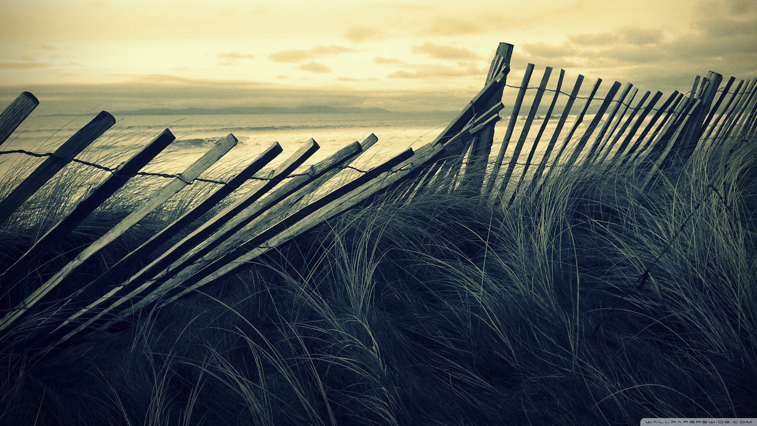 Wooden fence on a beach with tall grass HD Wallpaper