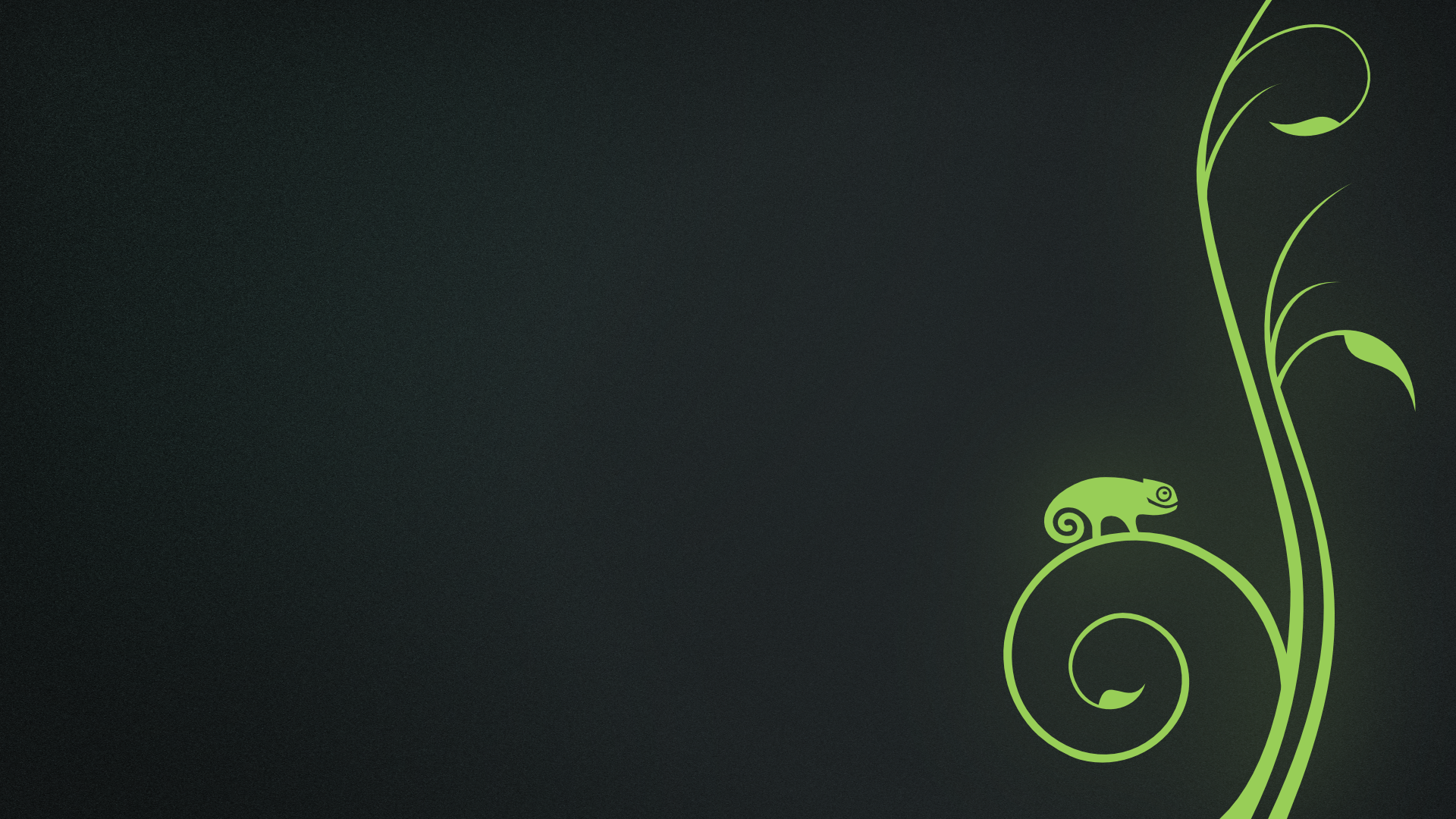 openSUSE logo with a chameleon on a vine HD Wallpaper