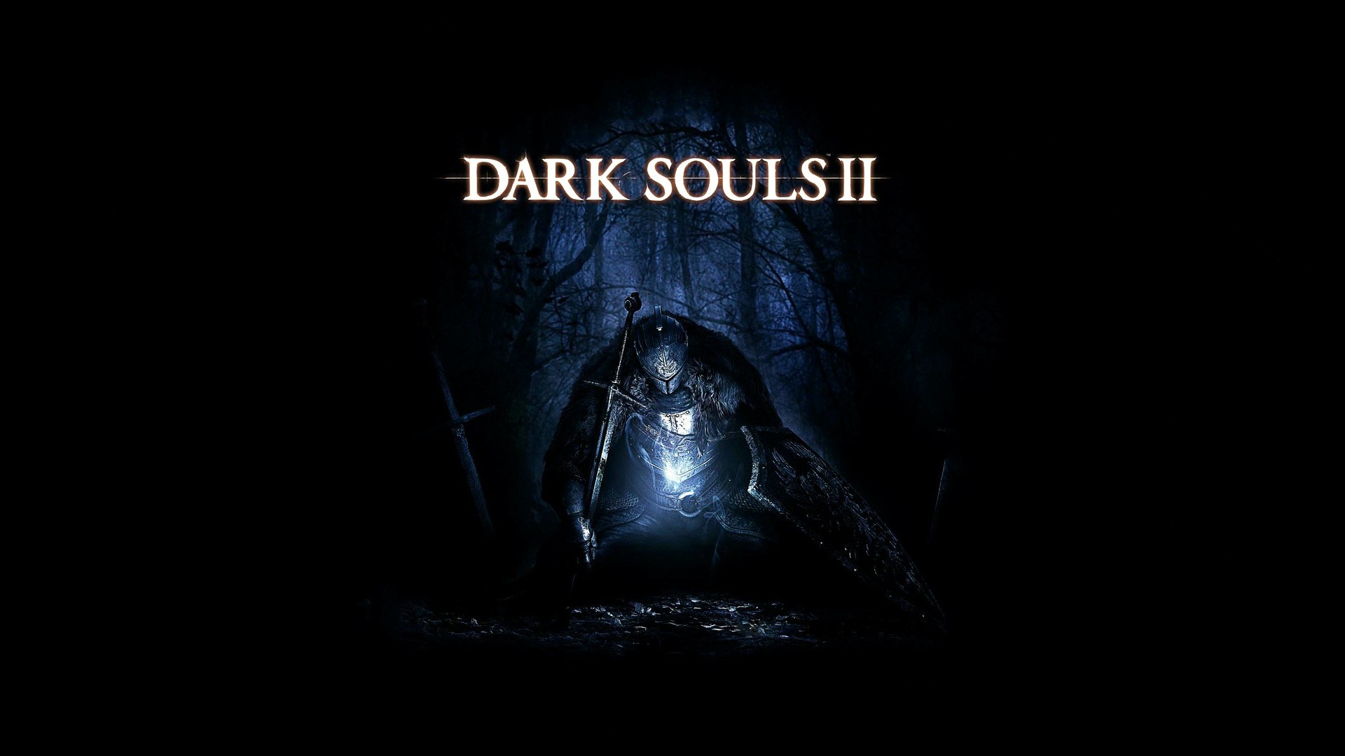 Dark Souls II Knight in a Dark Forest HD Wallpaper