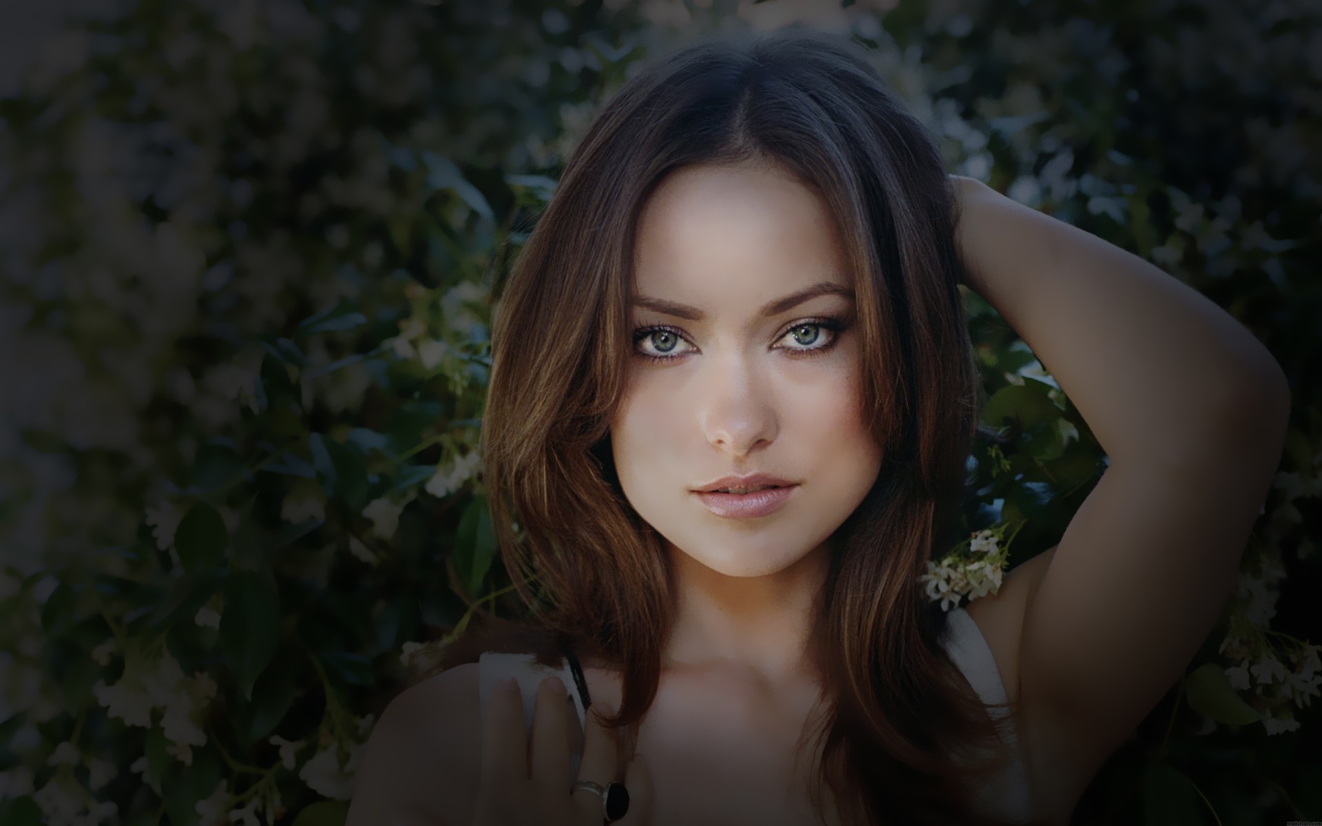 Olivia Wilde with her hand on her head HD Wallpaper