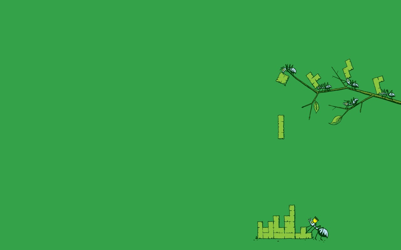 Ants playing Tetris on a branch HD Wallpaper