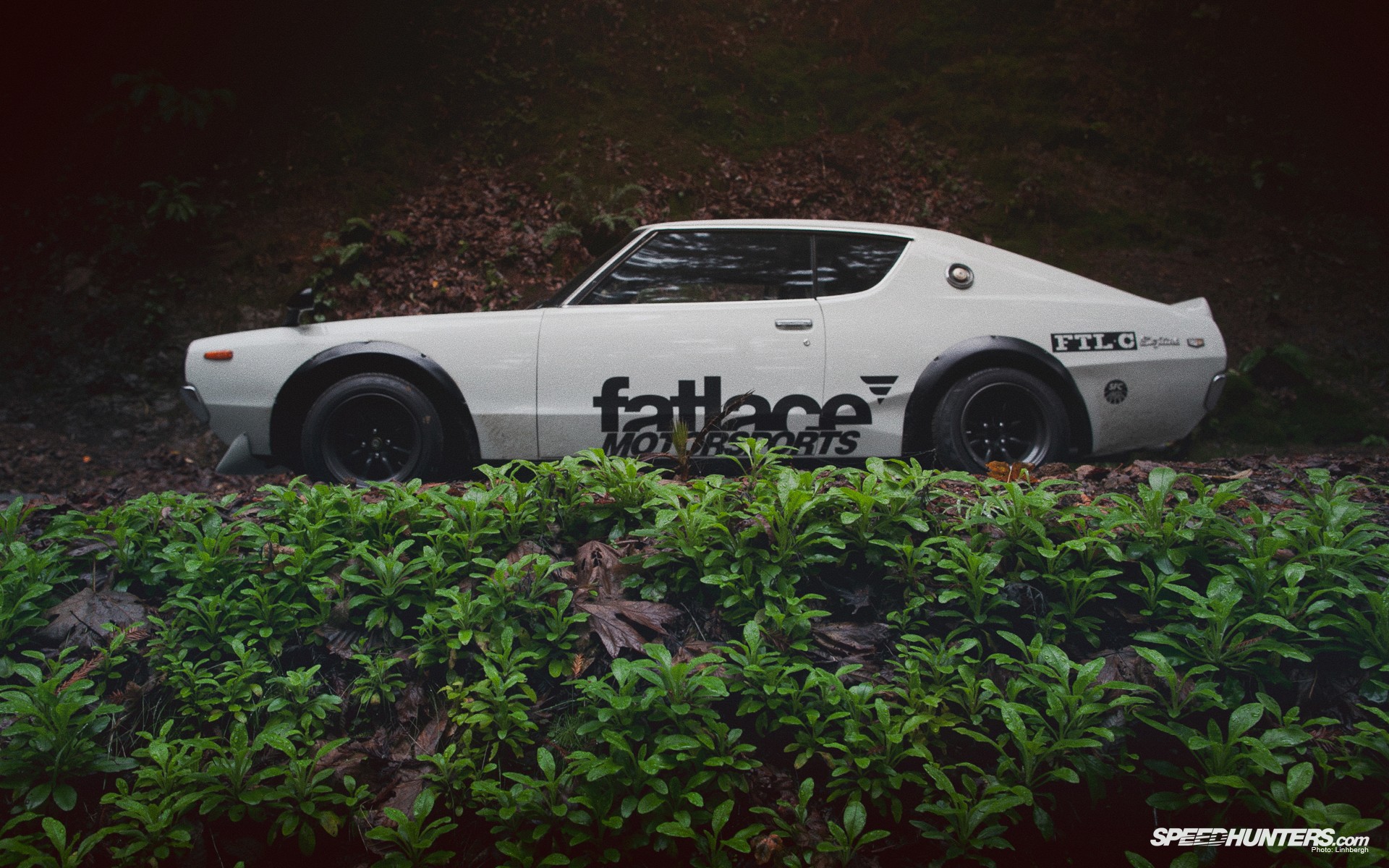 White Datsun "fatlace MOTORSPORTS" parked in forest HD Wallpaper