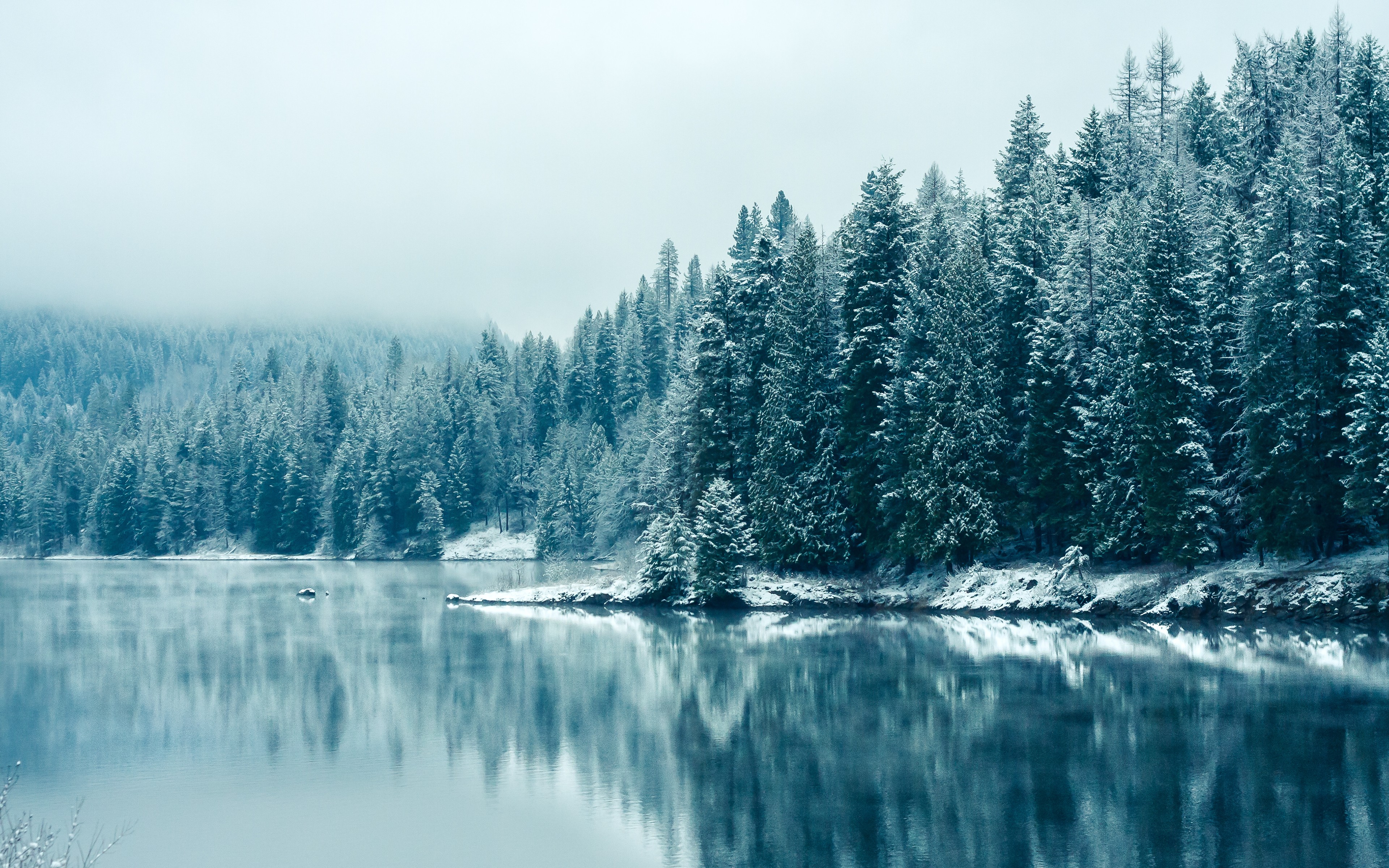 Snow-covered trees reflected in a calm lake HD Wallpaper