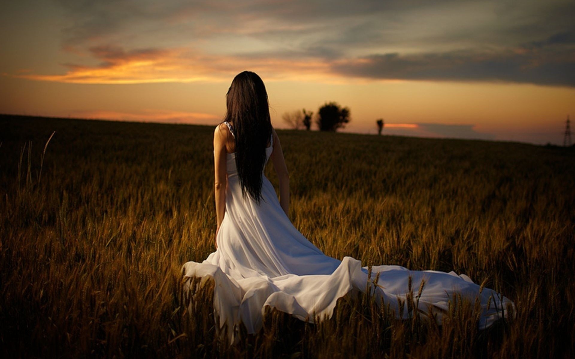 Woman in white dress in a field at sunset HD Wallpaper