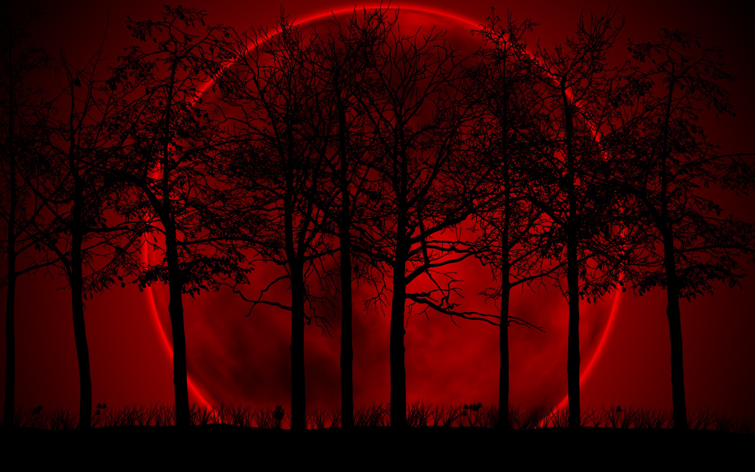 Silhouetted trees against a red moon HD Wallpaper