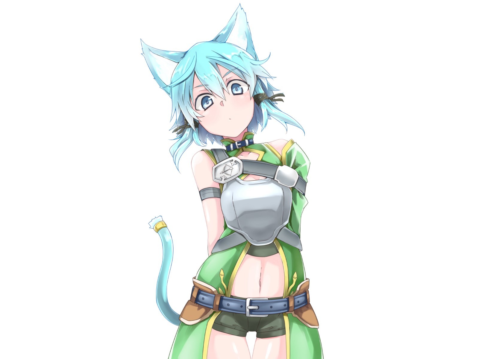 Asada Shino Nekomimi from Sword Art Online HD Wallpaper