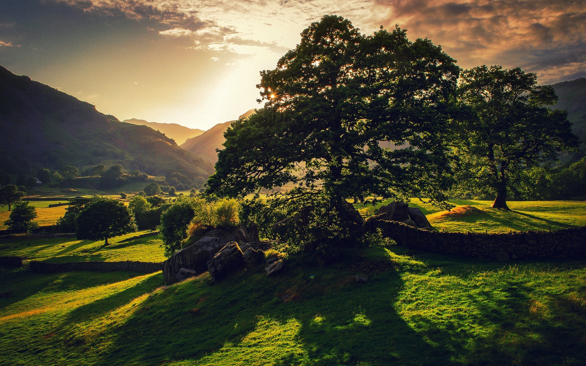 Sunlight over a tree-lined valley with mountains HD Wallpaper