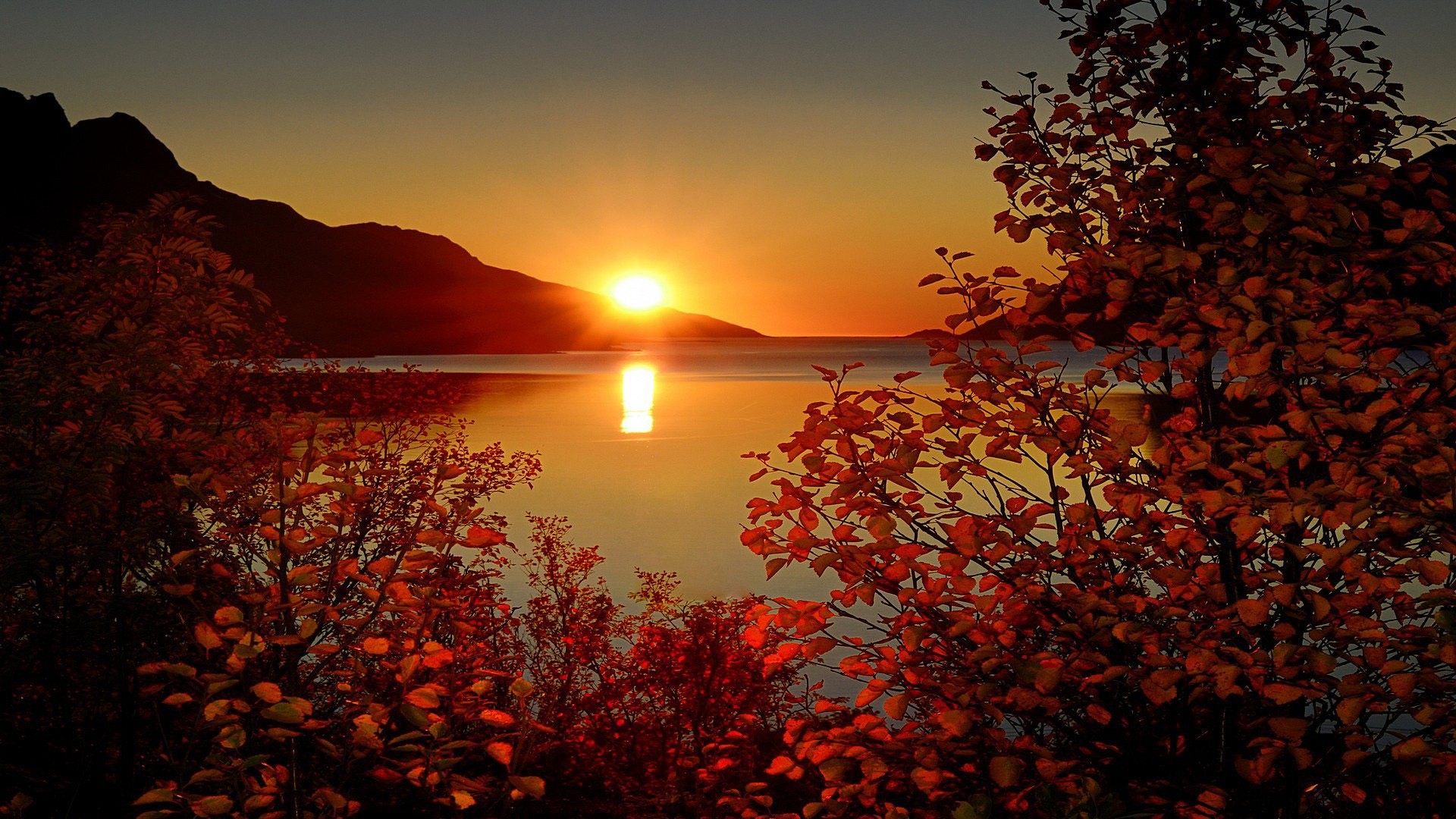 Sunset over water with autumn leaves HD Wallpaper