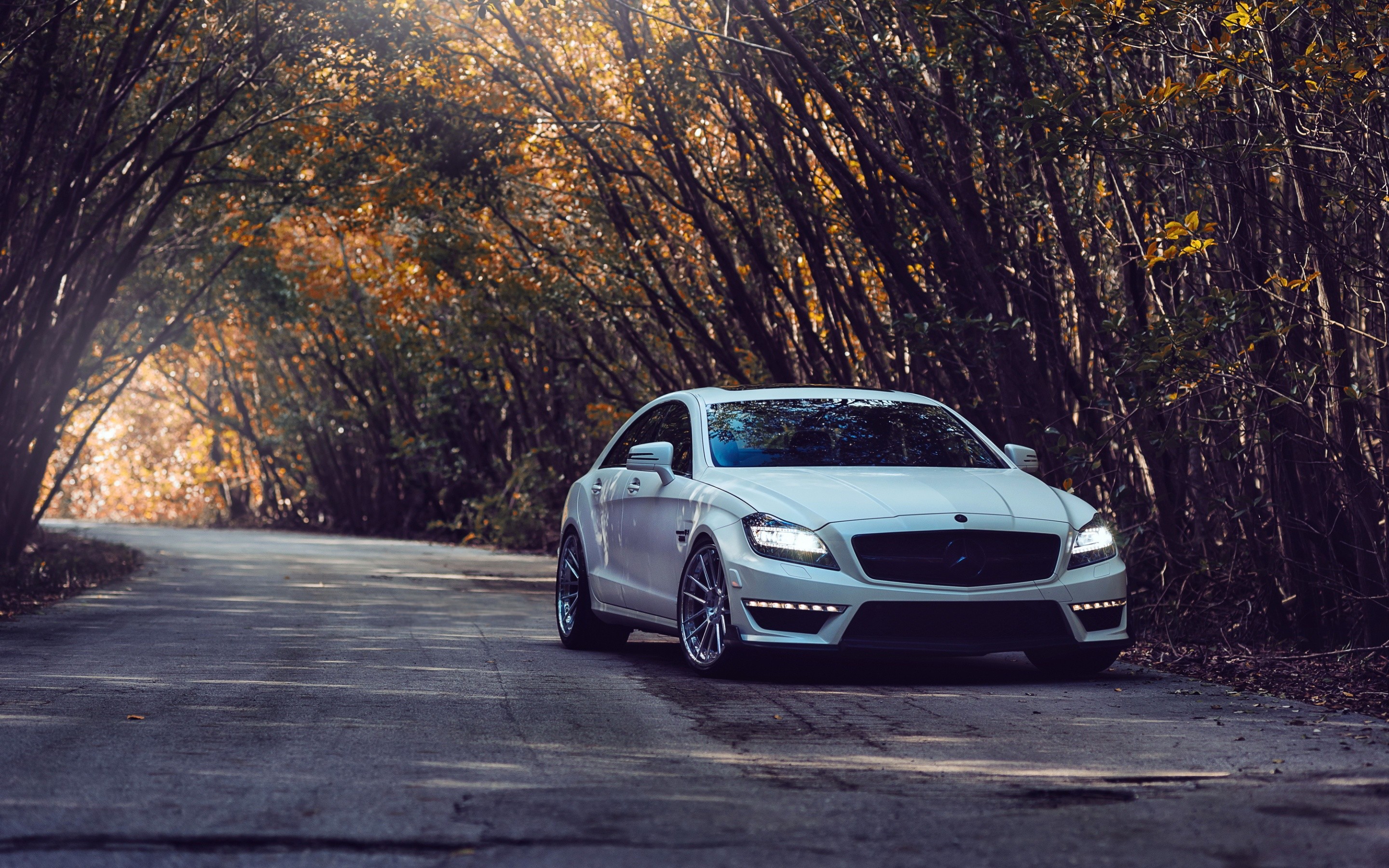 White Mercedes-Benz CLS parked on a tree-lined road HD Wallpaper
