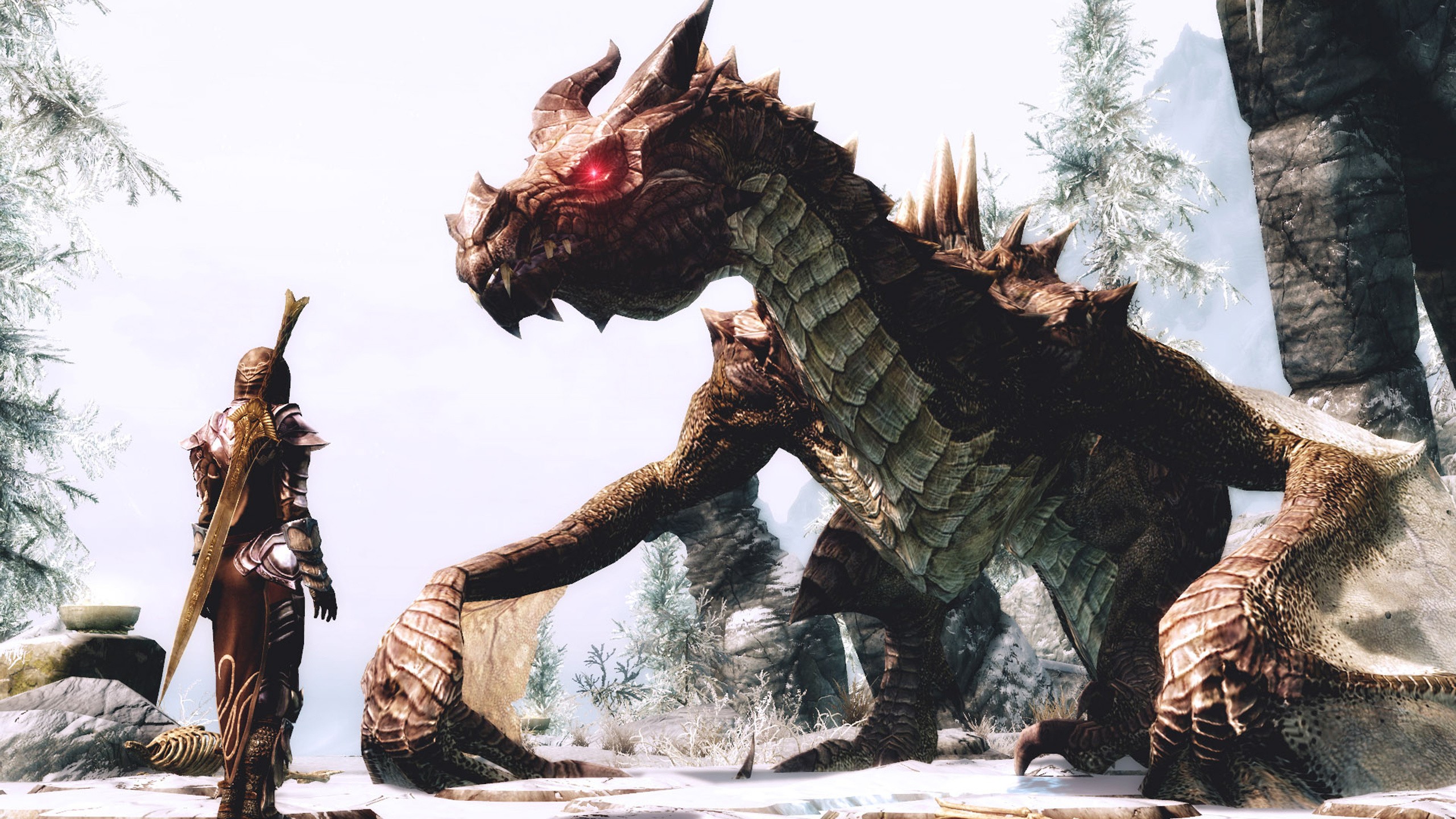 The Elder Scrolls V: Skyrim Dragon Encounter HD Wallpaper