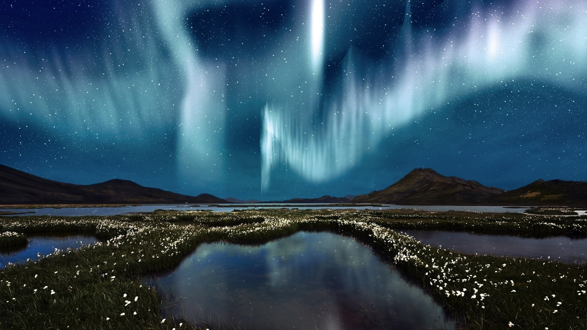 Aurora Borealis over a marshy landscape at night HD Wallpaper