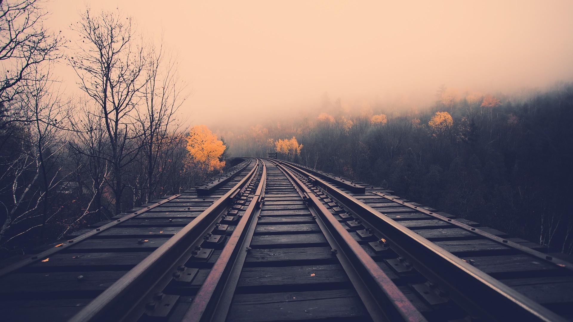 Railway tracks on a wooden bridge in foggy landscape HD Wallpaper