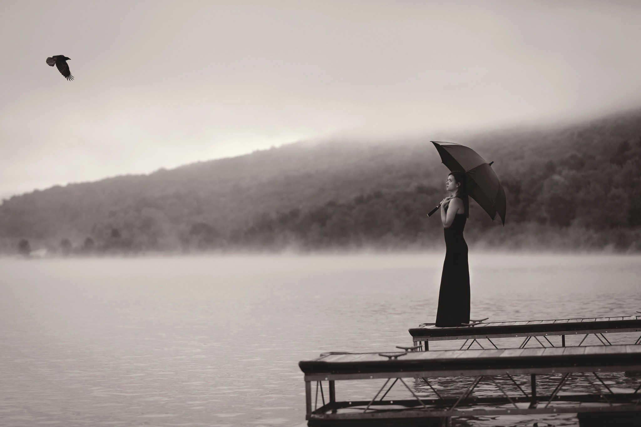 Woman with umbrella on dock with bird flying HD Wallpaper