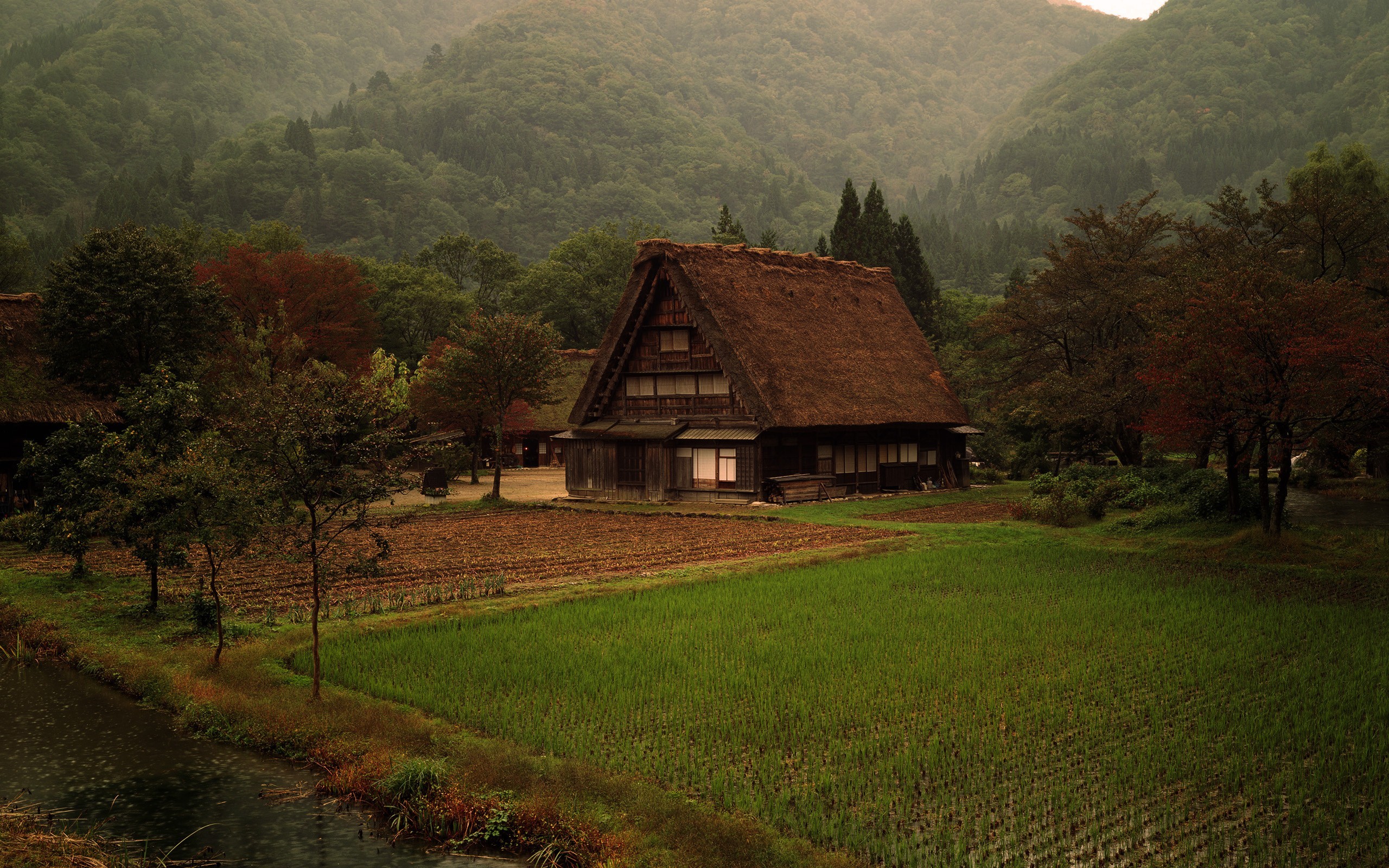 Traditional Japanese Gassho-zukuri house in a rural landscape HD Wallpaper