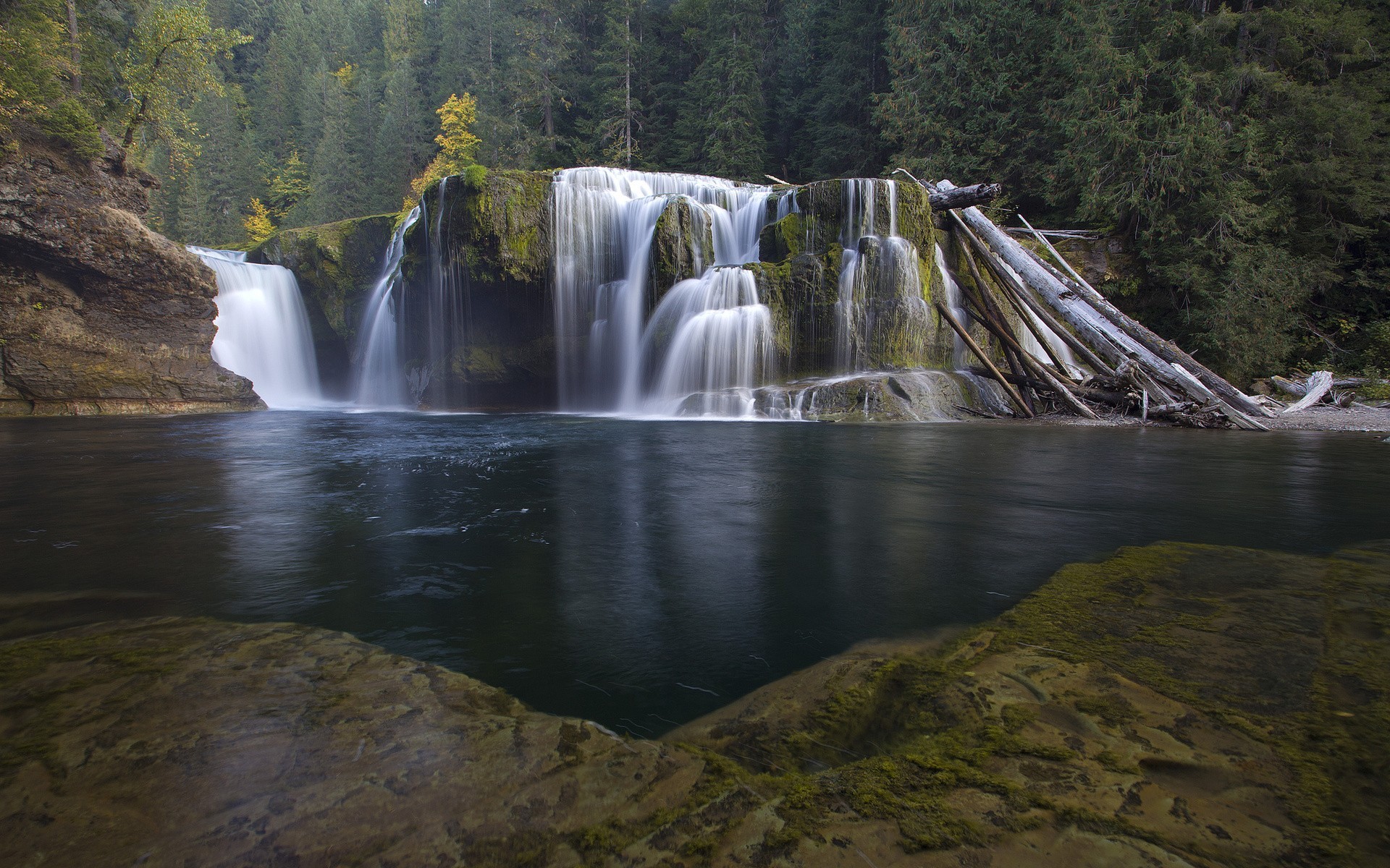 Waterfall in a forest with logs HD Wallpaper