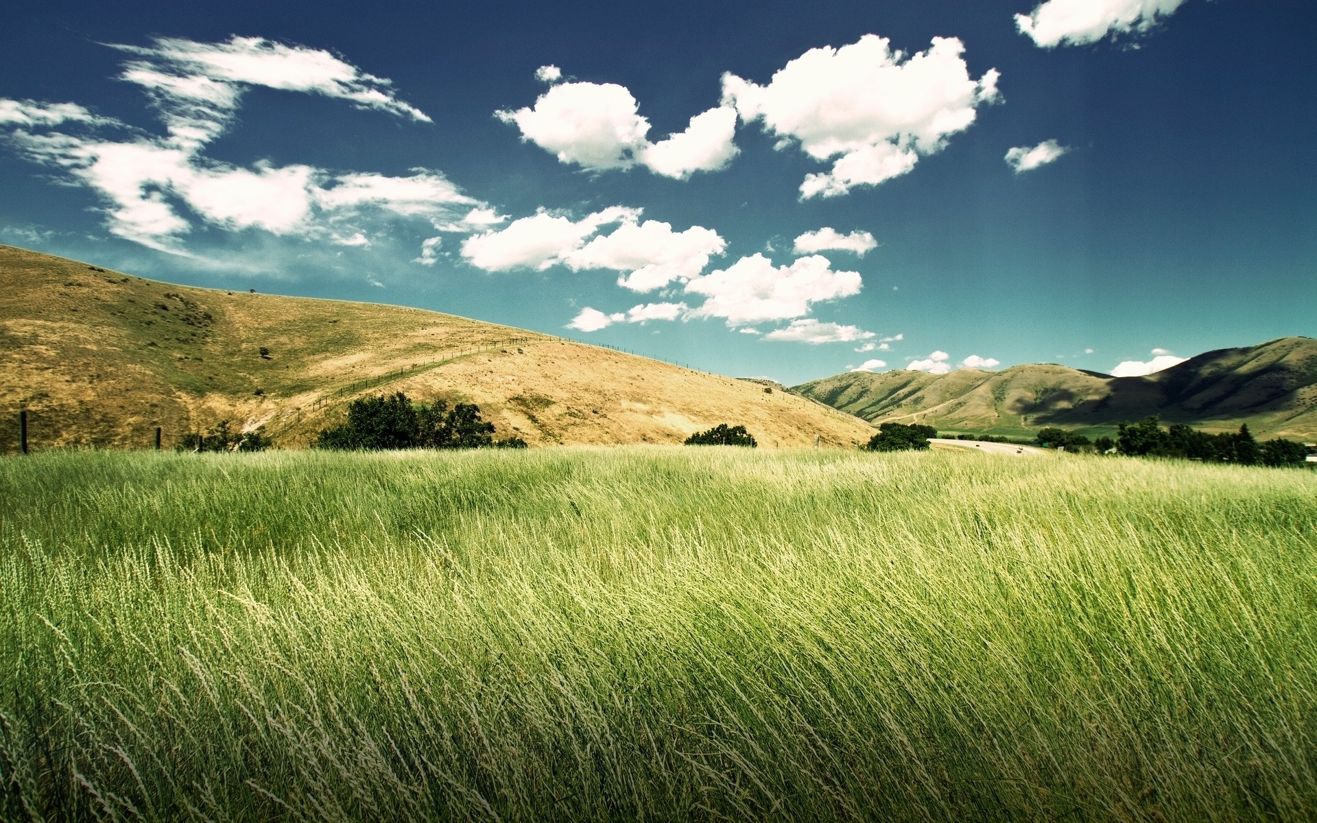 Green grass field with rolling hills and clouds HD Wallpaper