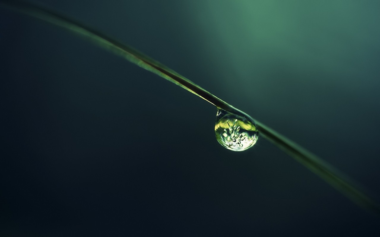 Close-up of a water drop on a blade of grass HD Wallpaper