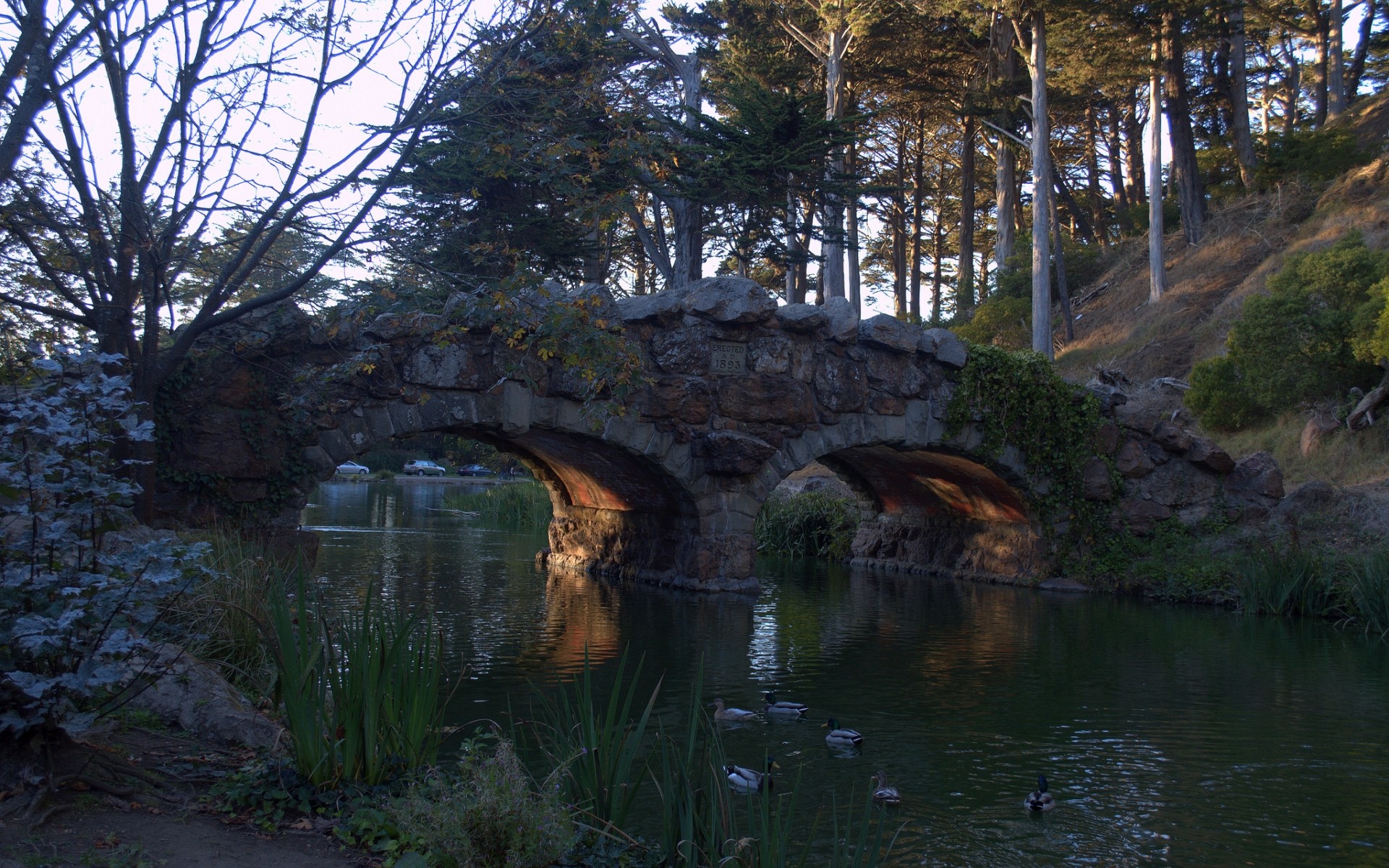 Stone bridge over a river in Golden Gate Park, San Francisco HD Wallpaper
