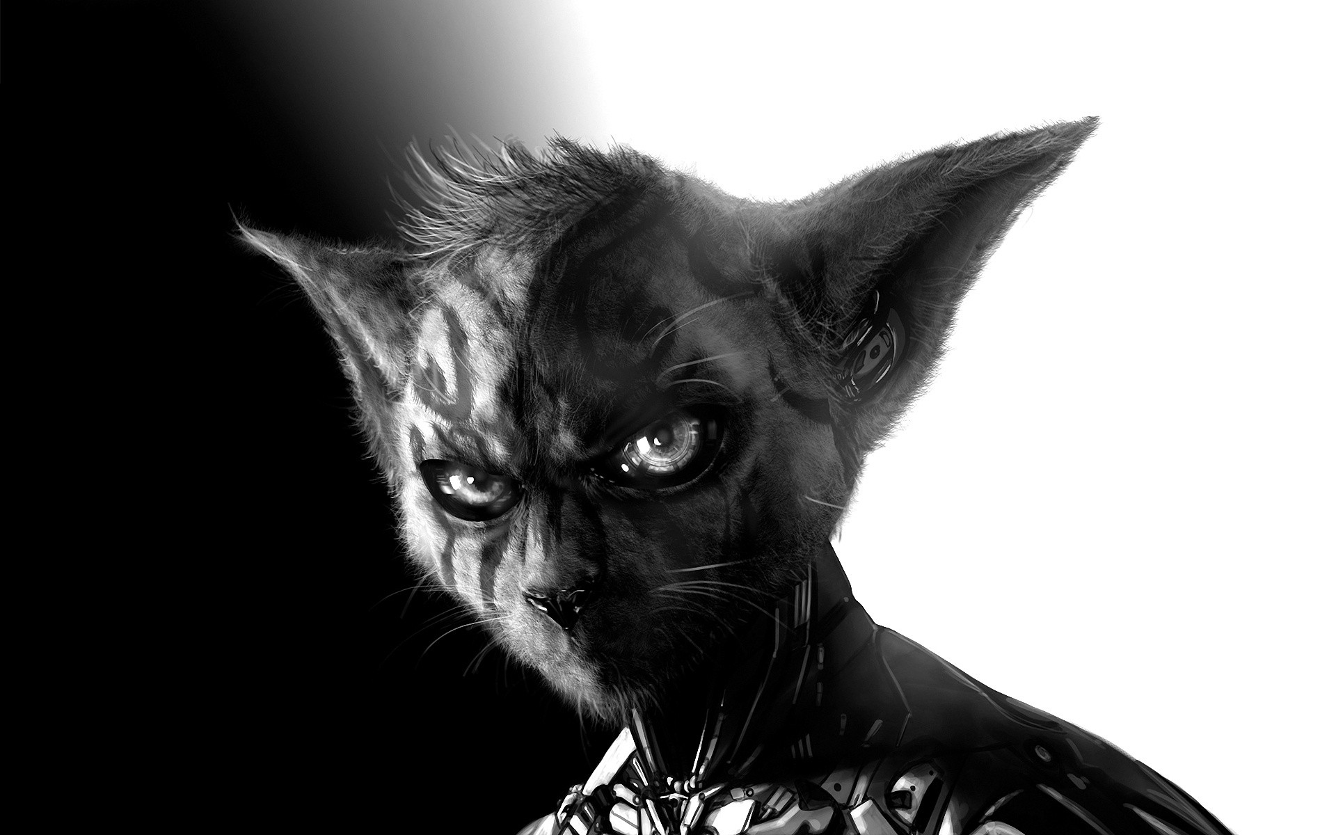 Cyborg Cat Anthro Fantasy Art HD Wallpaper