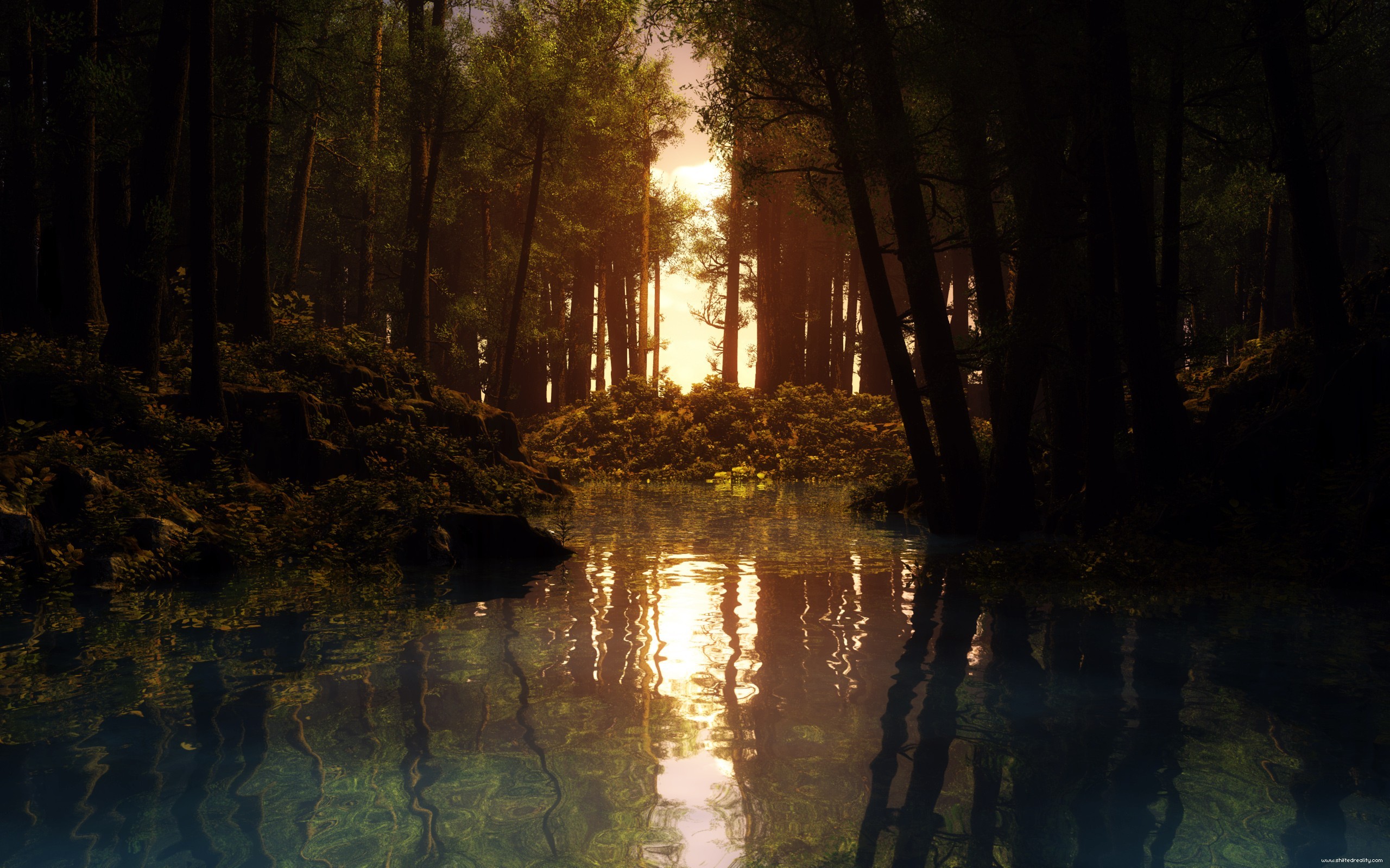 Sunlight filtering through a dense forest onto a calm lake HD Wallpaper