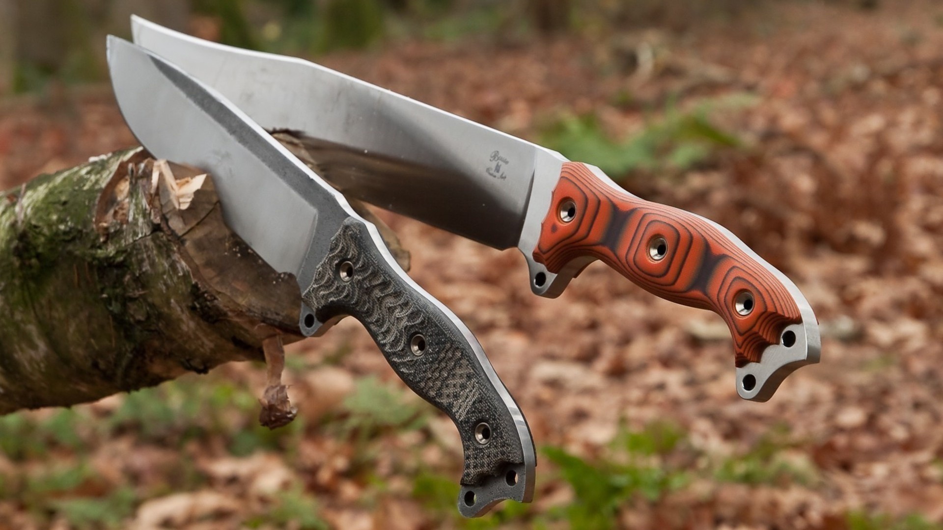Two knives resting on a log in a forest HD Wallpaper