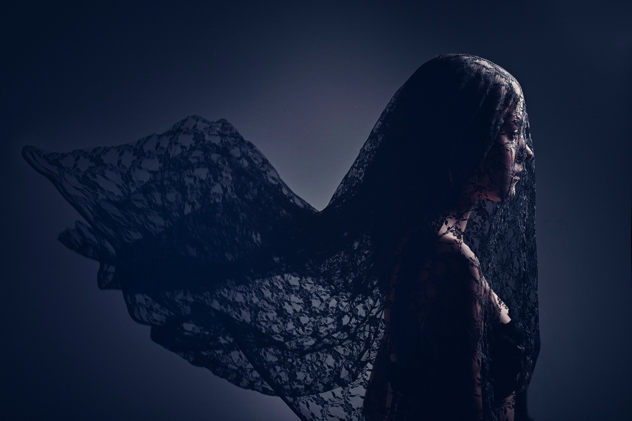 Woman in black lace veil HD Wallpaper