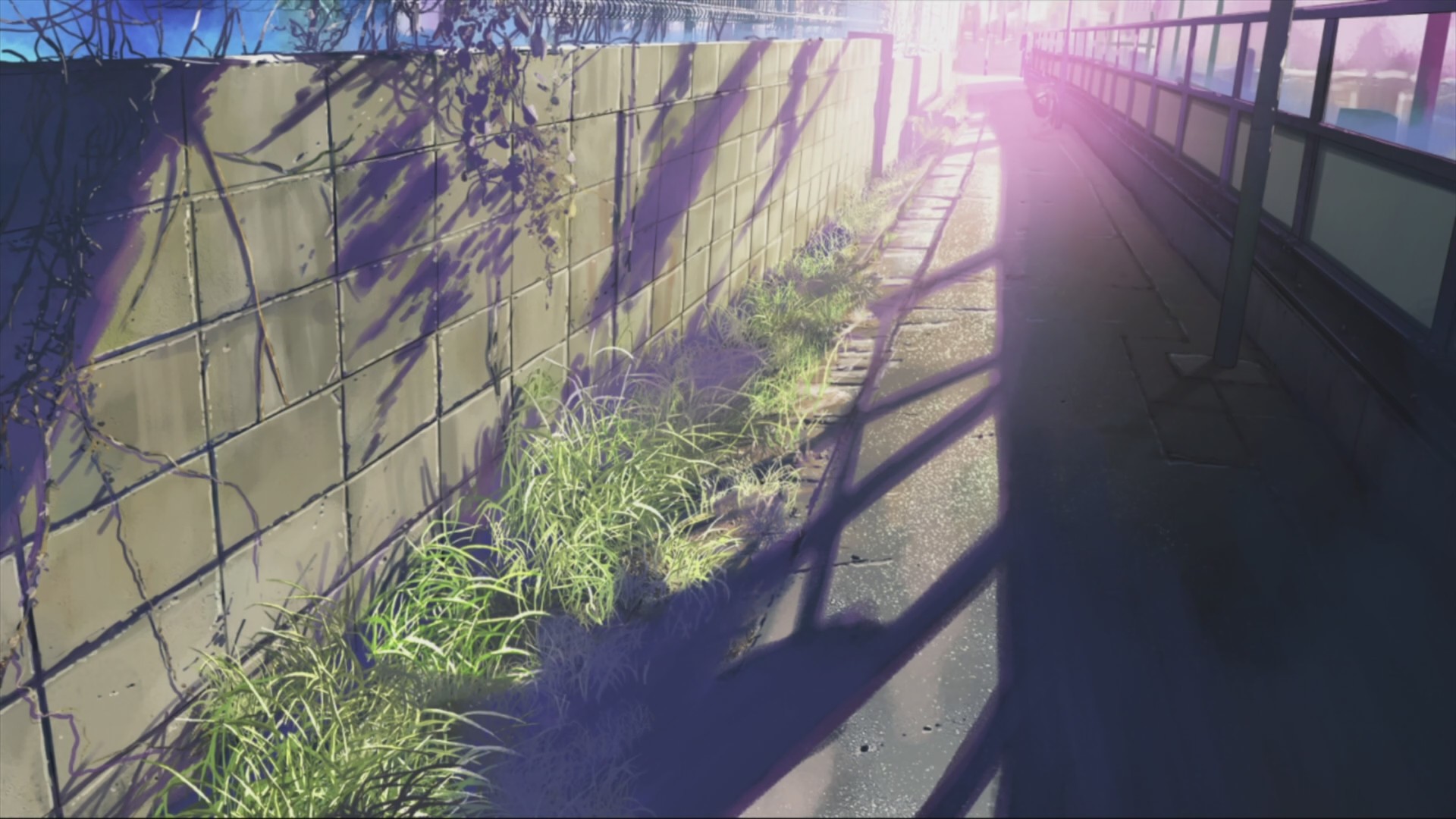5 Centimeters Per Second anime scene HD Wallpaper