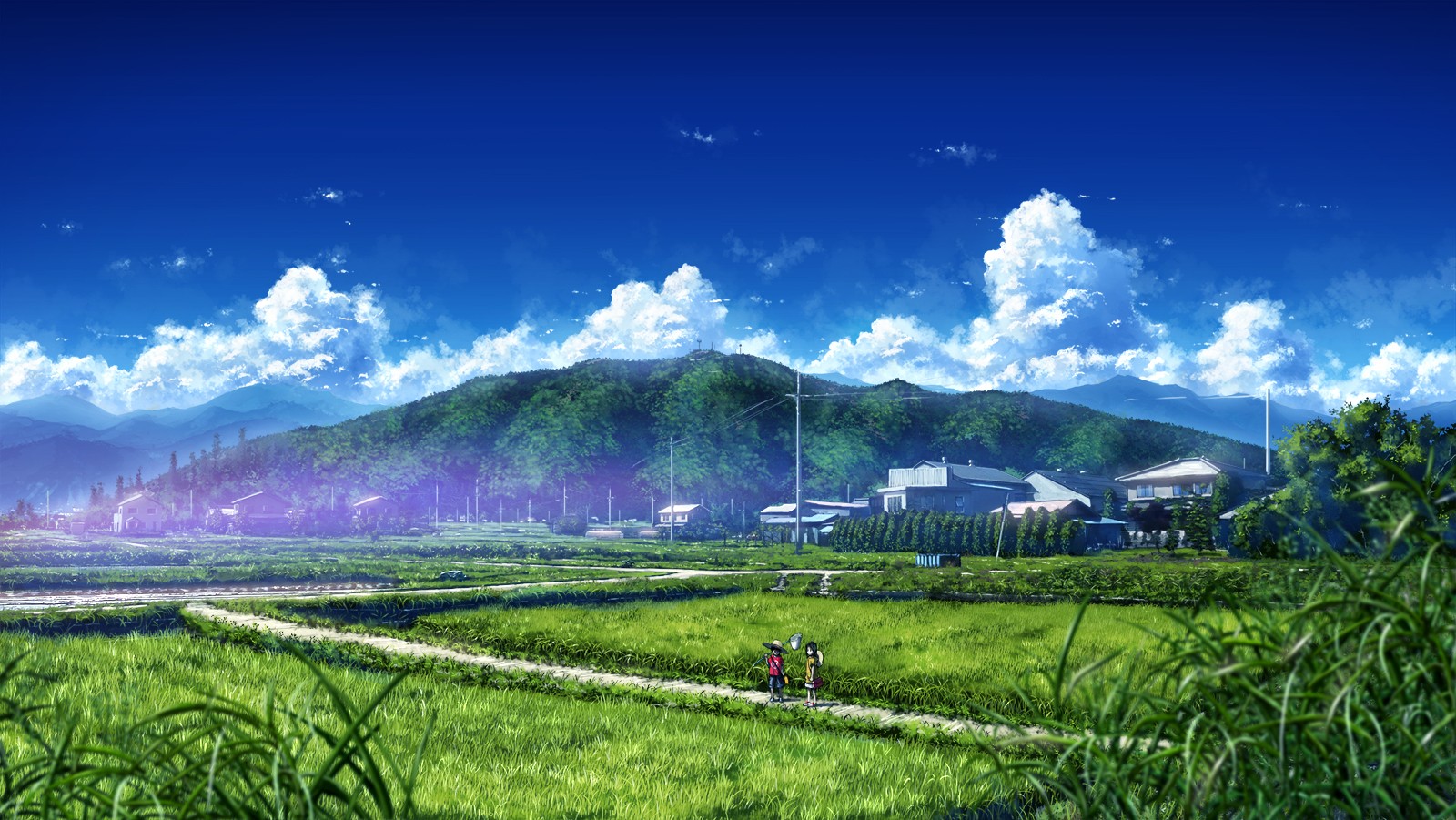 Anime landscape with mountains and rice fields HD Wallpaper