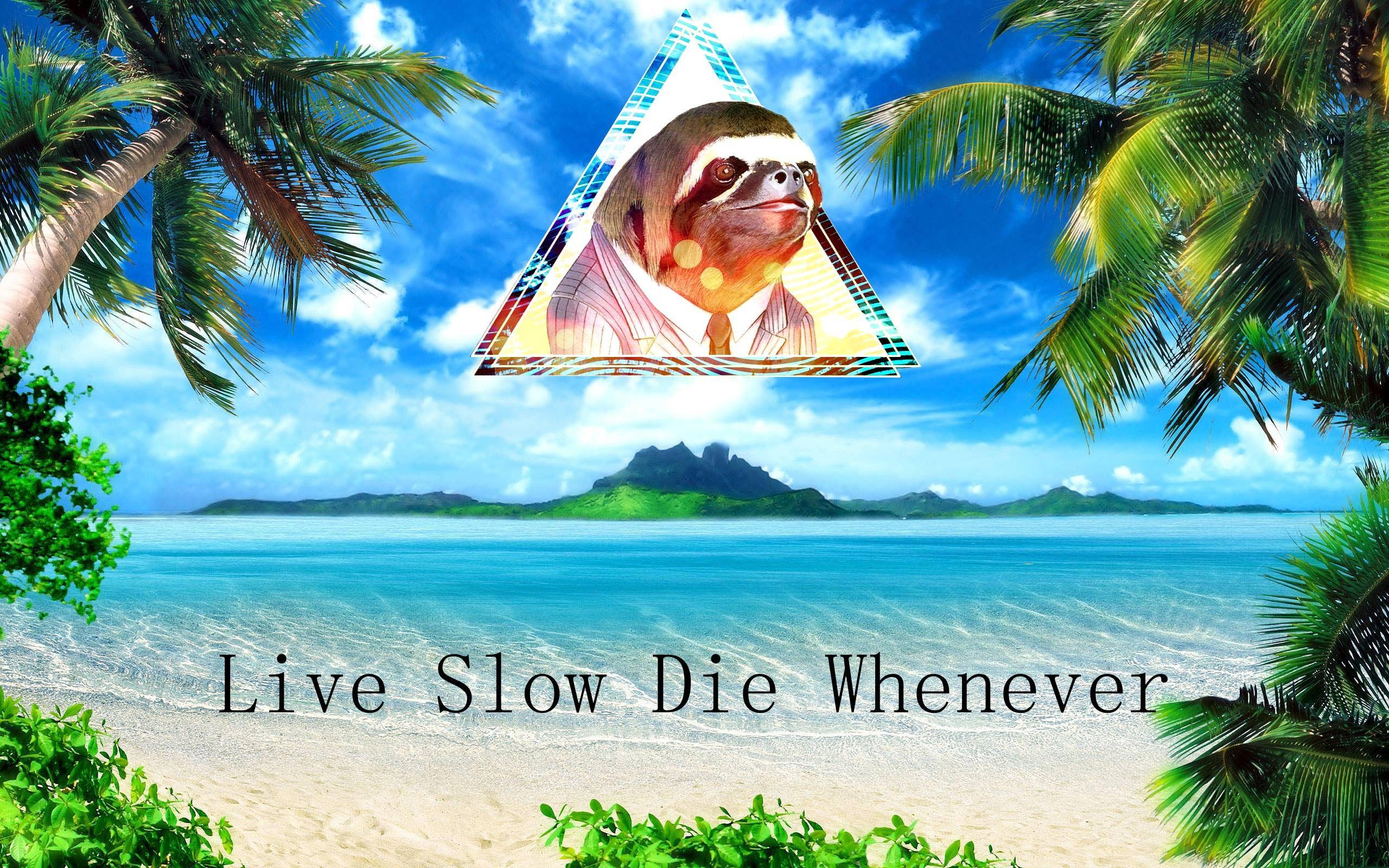 Sloth in a suit on a tropical beach with text HD Wallpaper