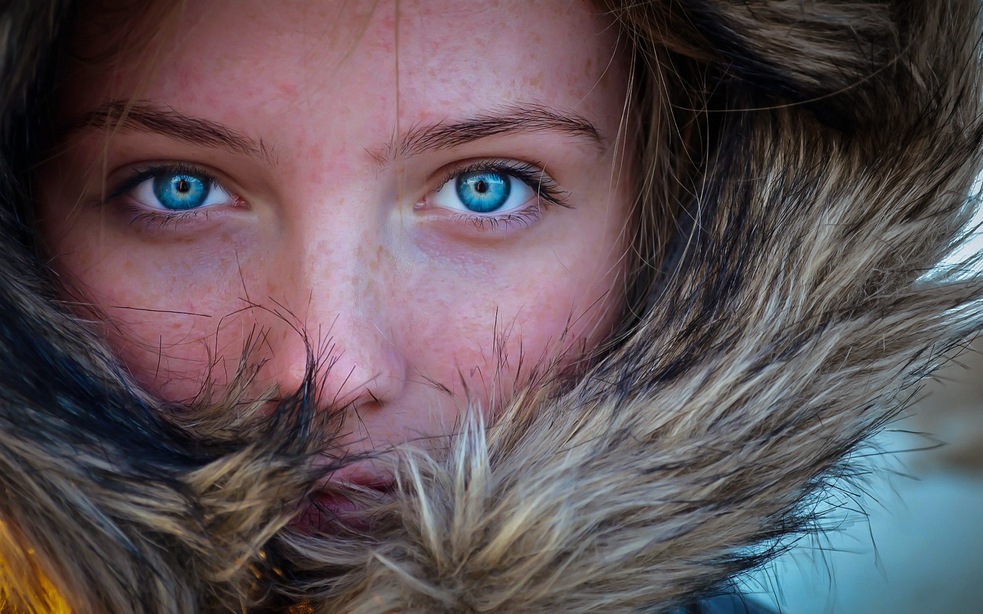Close-up portrait of a woman with blue eyes and freckles HD Wallpaper