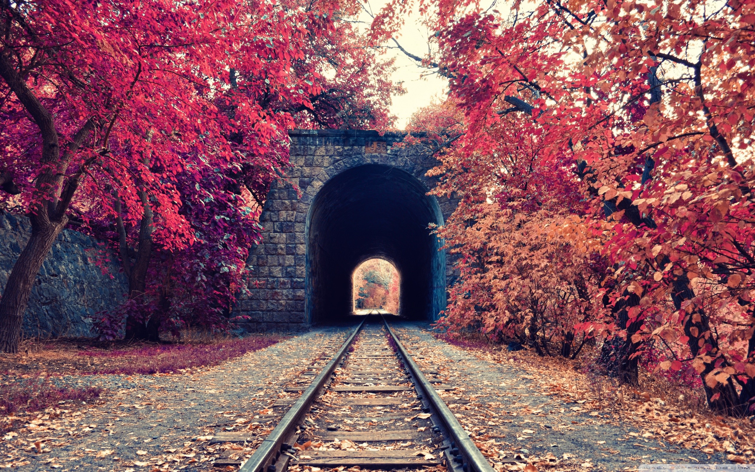tunnel, trees, fall, railway, Armenia HD Wallpaper