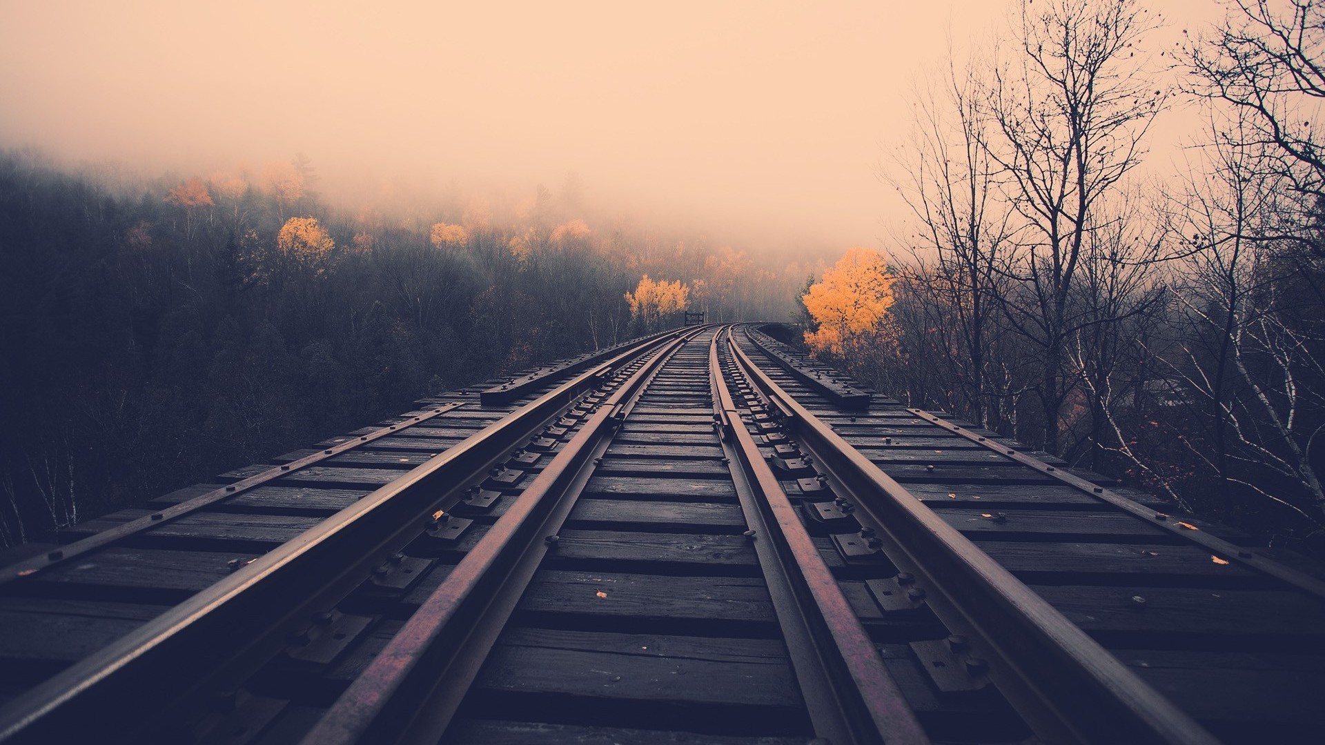 Railway tracks through a foggy forest with autumn trees HD Wallpaper