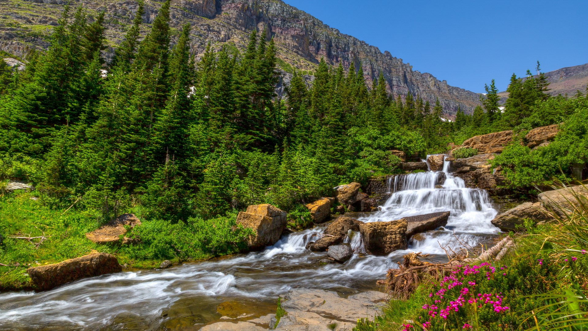 Waterfall cascading through rocks and trees in a mountain landscape HD Wallpaper