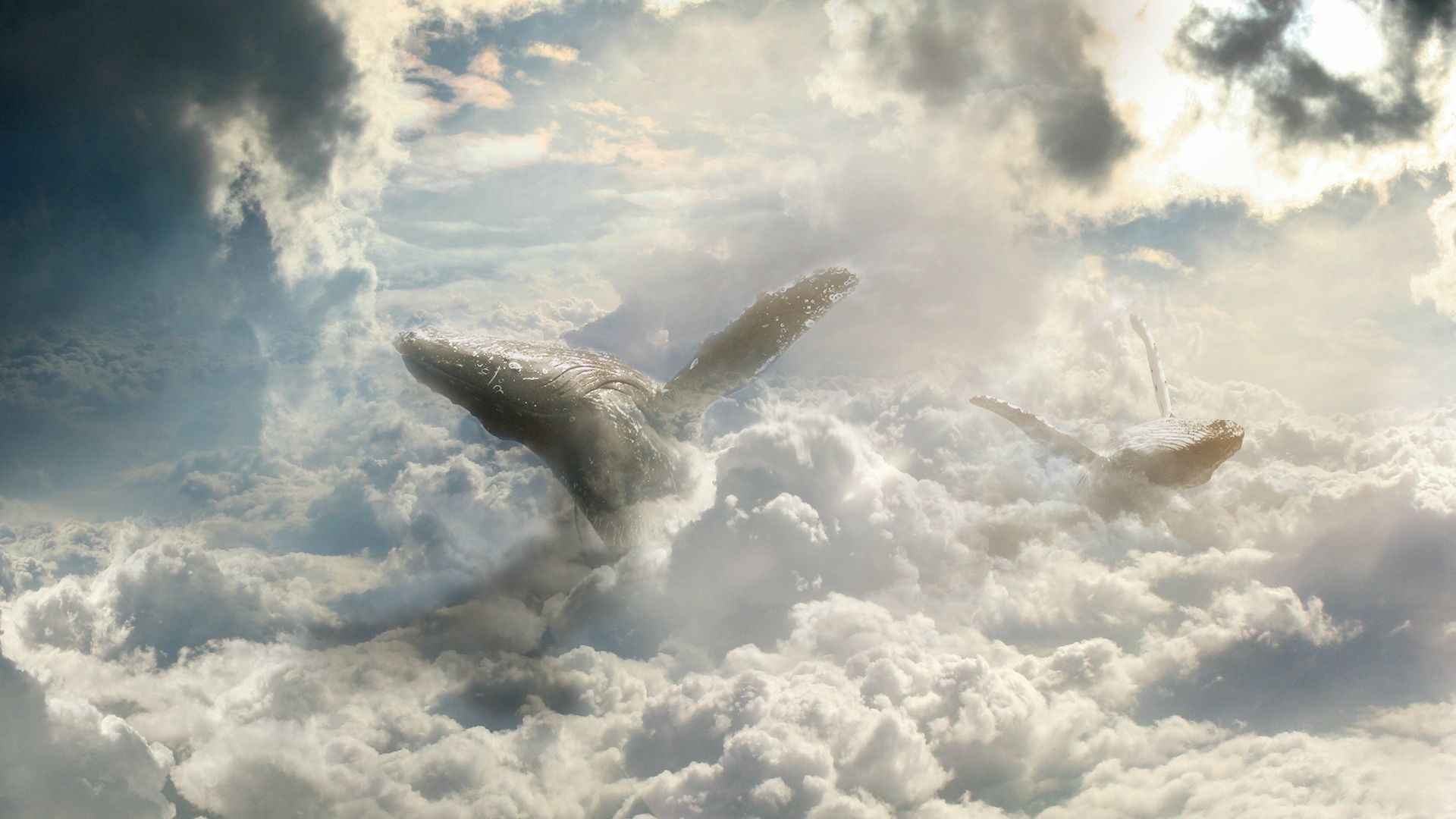 Whales swimming through clouds in a fantasy sky HD Wallpaper