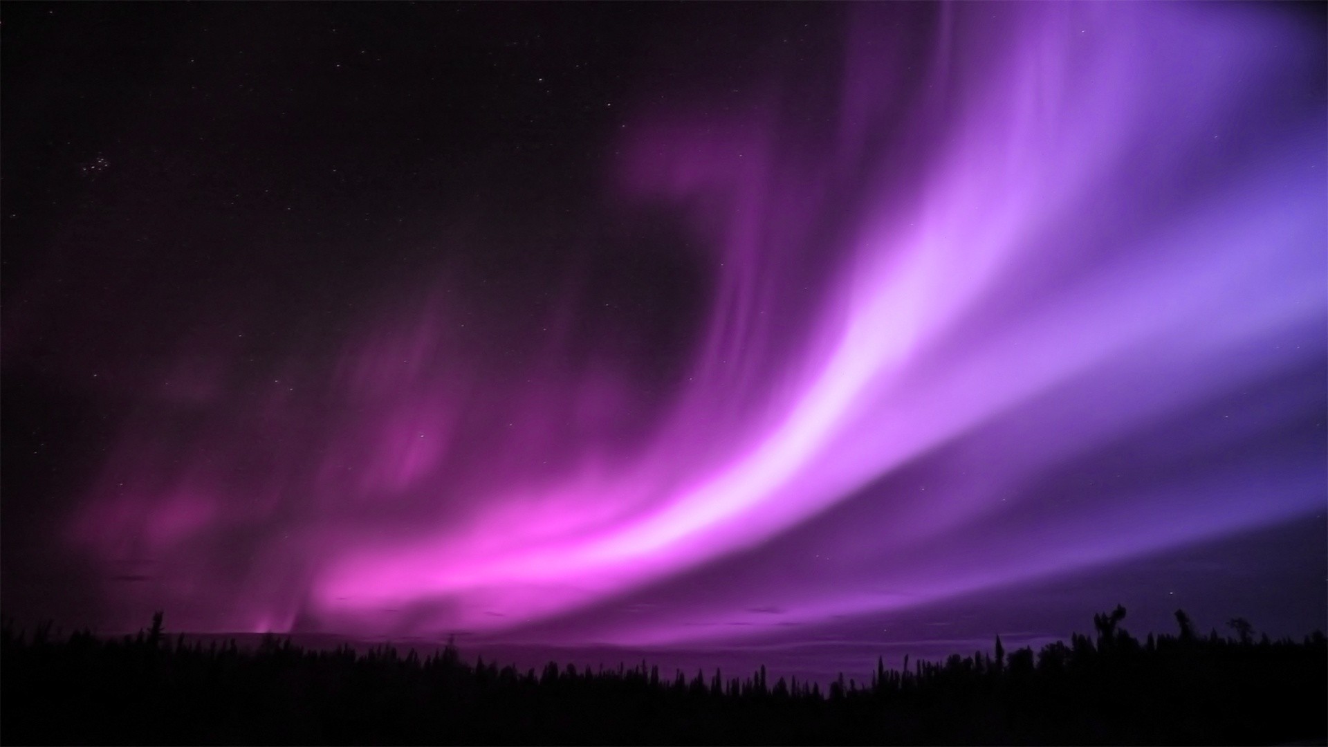 Purple and pink aurora borealis over a dark forest HD Wallpaper