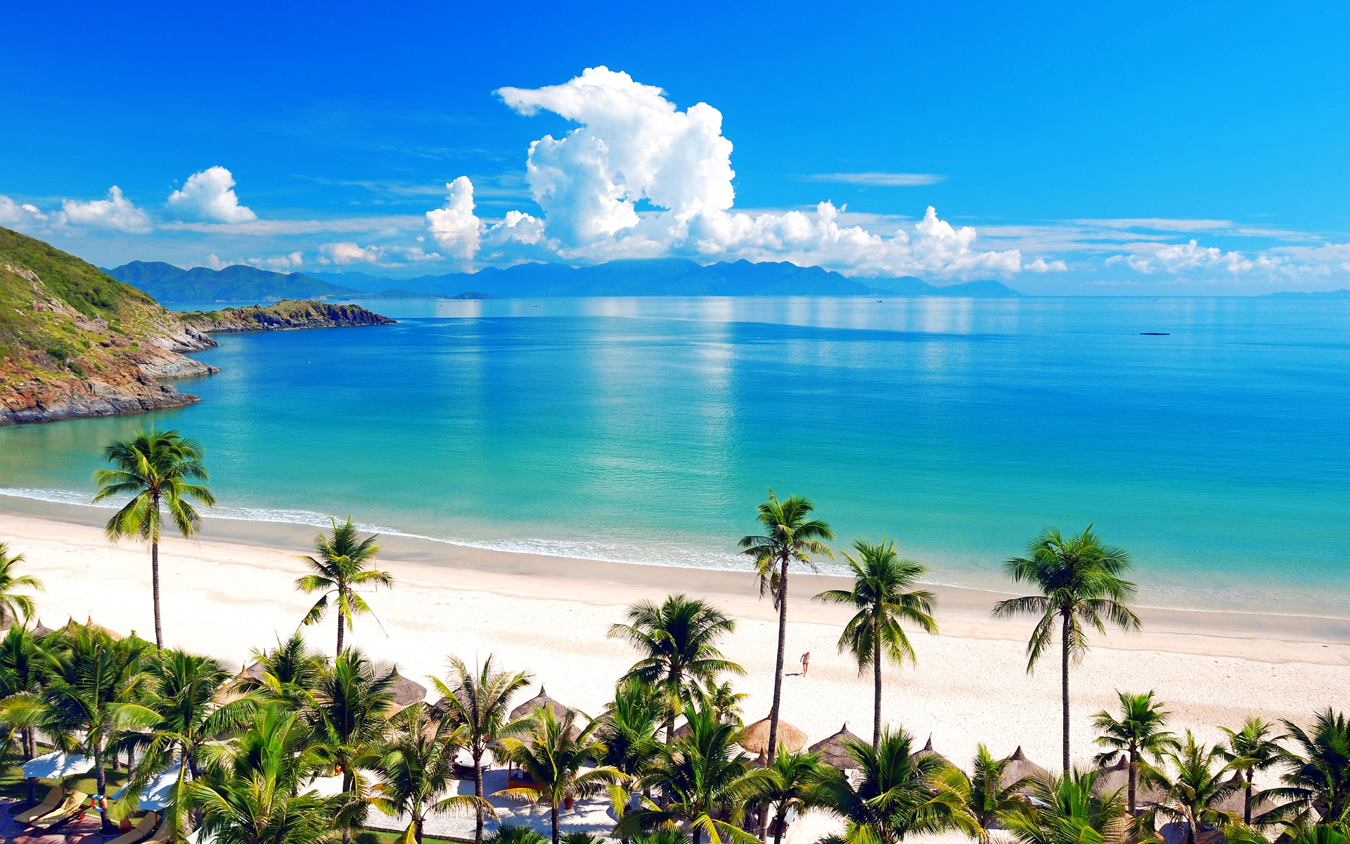 Tropical beach with palm trees and ocean HD Wallpaper
