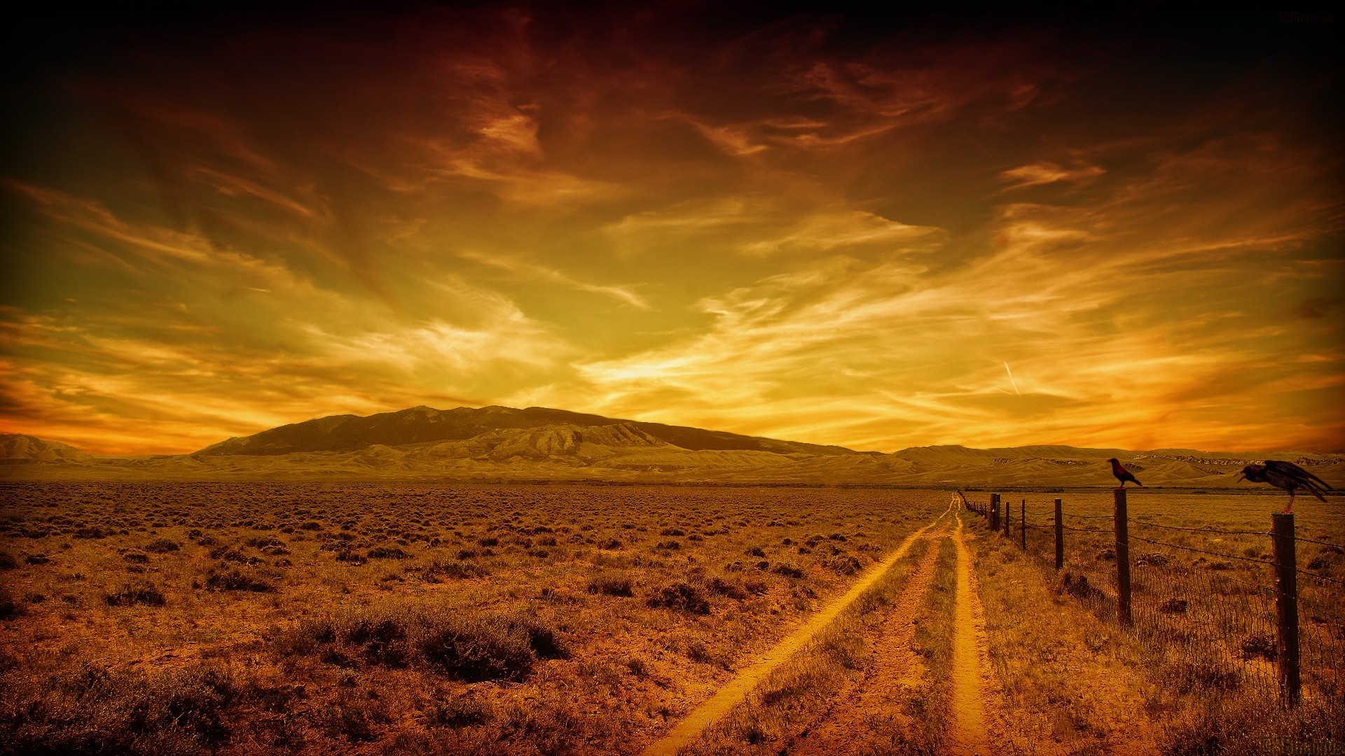 Desert landscape with dirt road and birds on fence HD Wallpaper